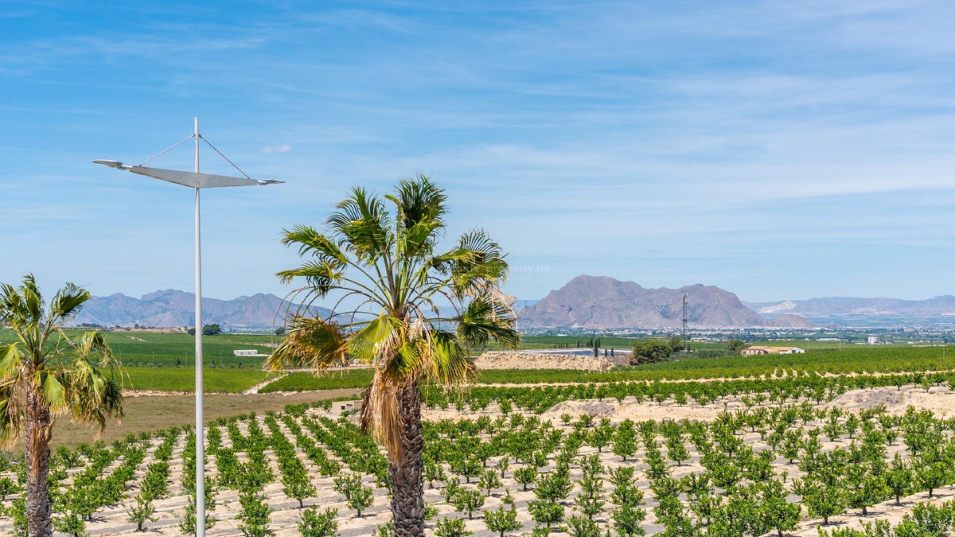 Villa in Algorfa Centro