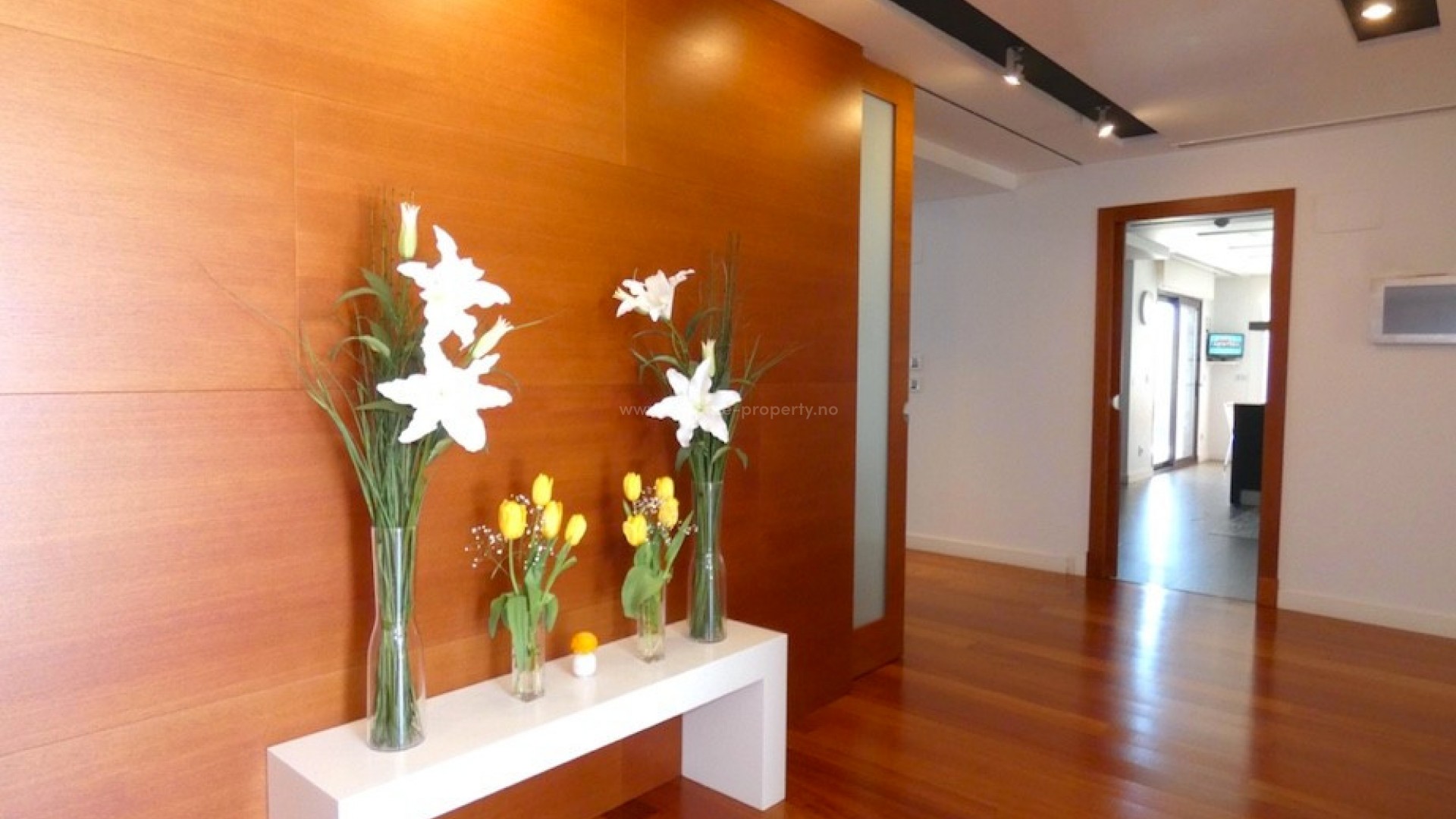 Villa in Algorfa Centro