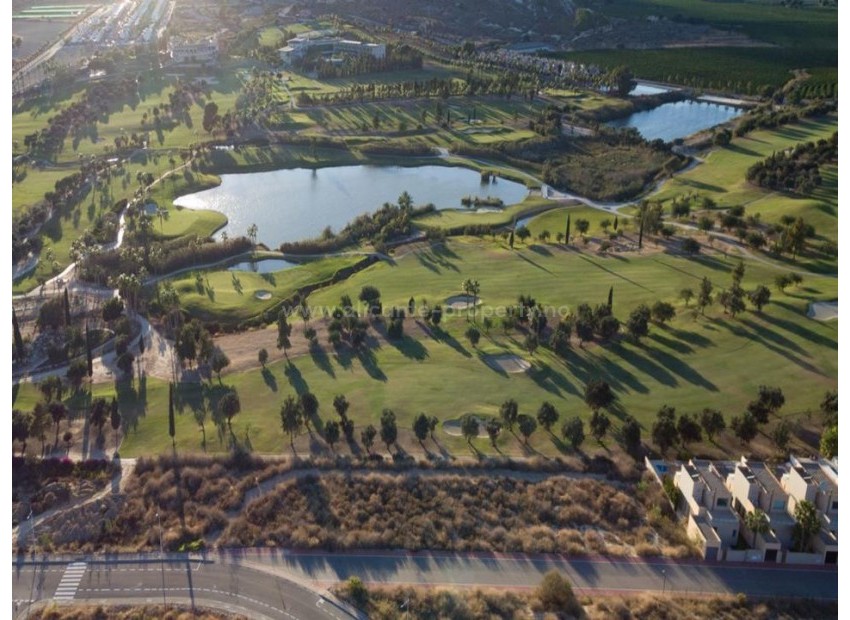Villa in Algorfa Centro