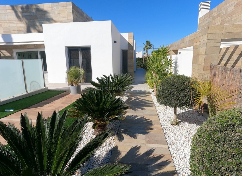 Villa in Algorfa Centro
