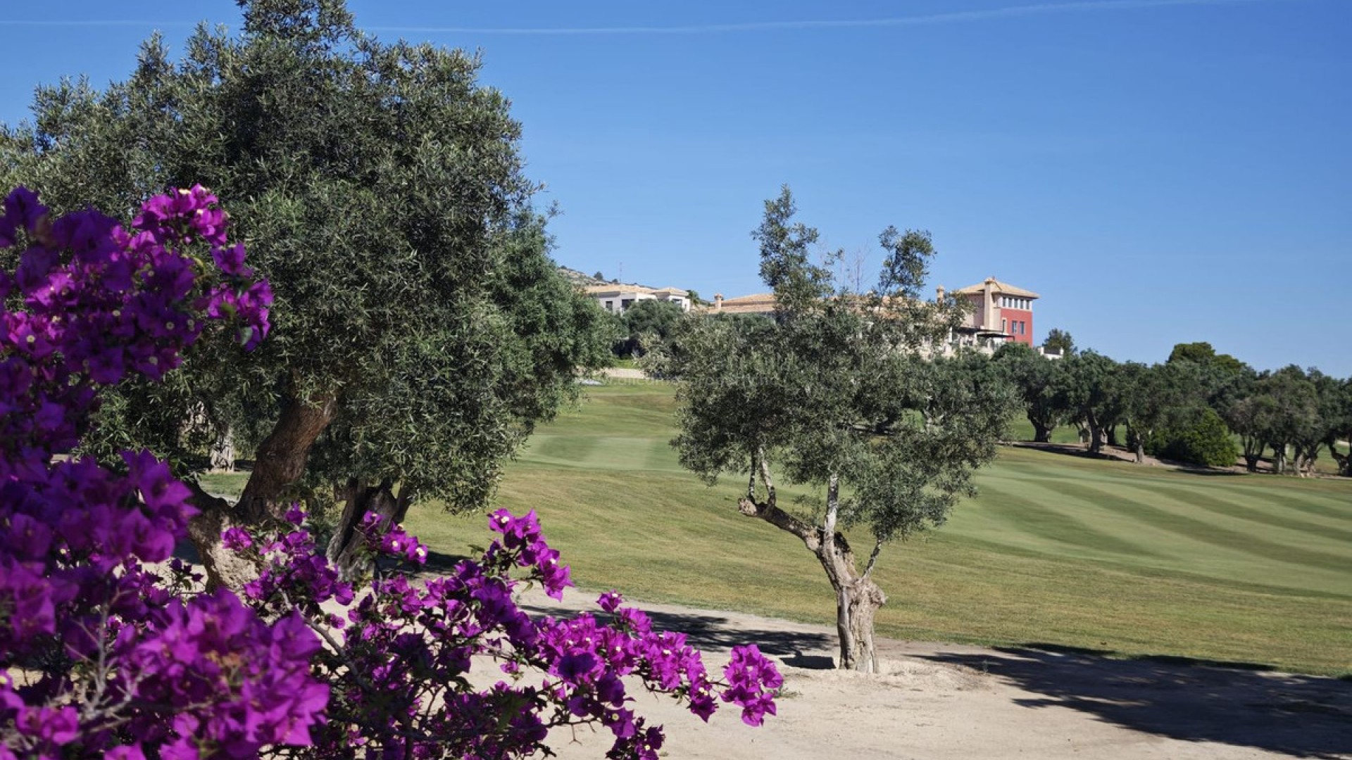 Villa in Algorfa Centro