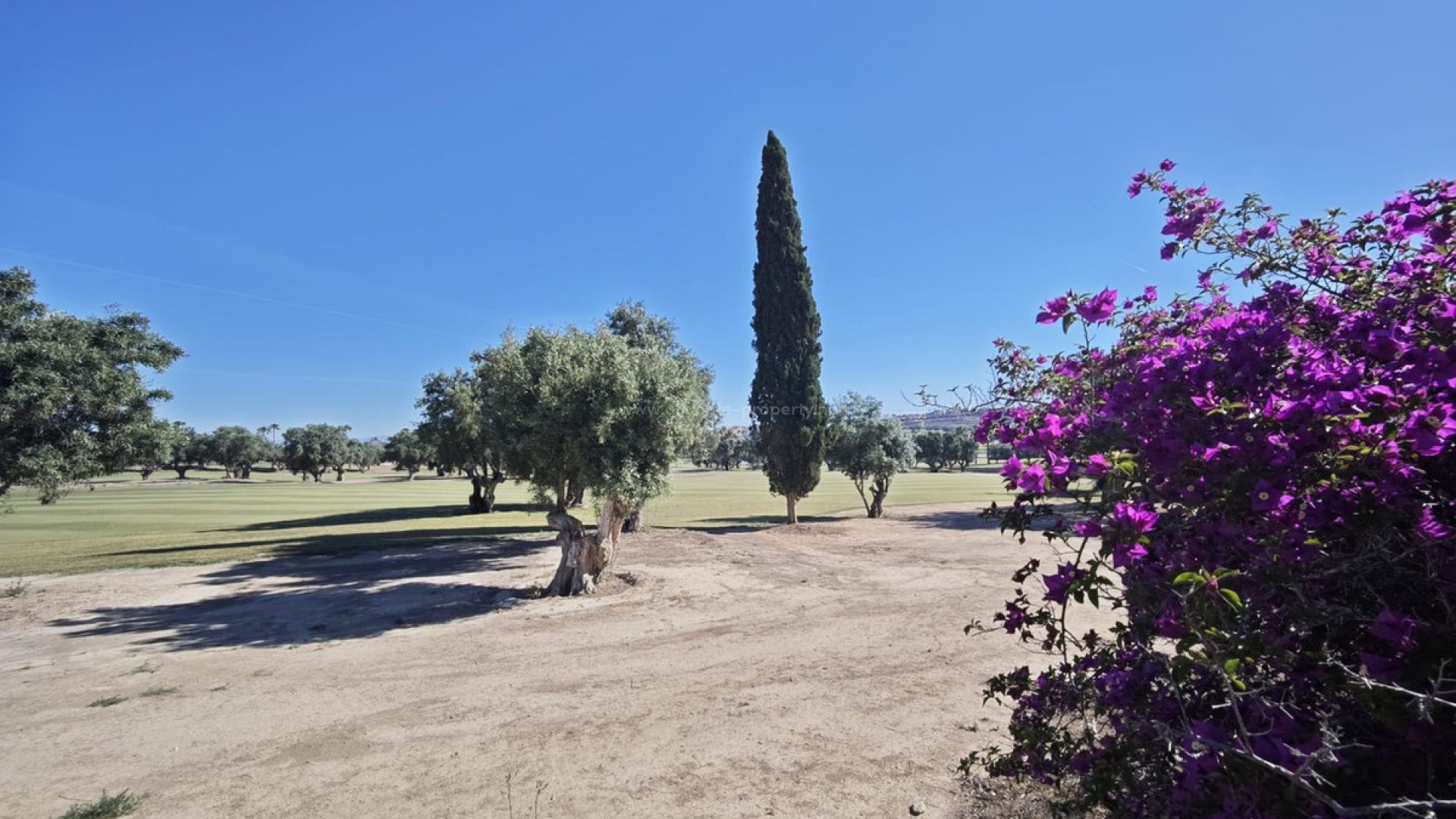 Villa in Algorfa Centro