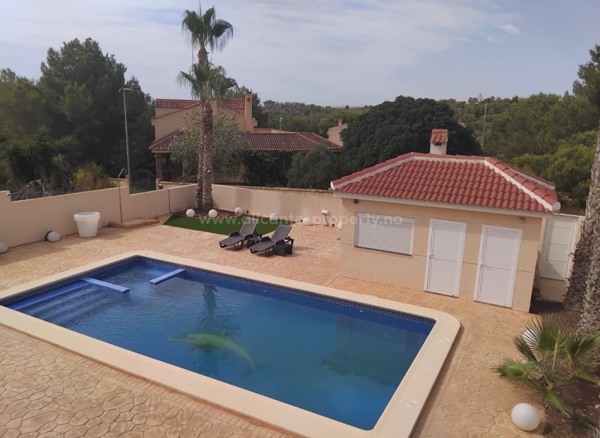 Villa in Algorfa Centro