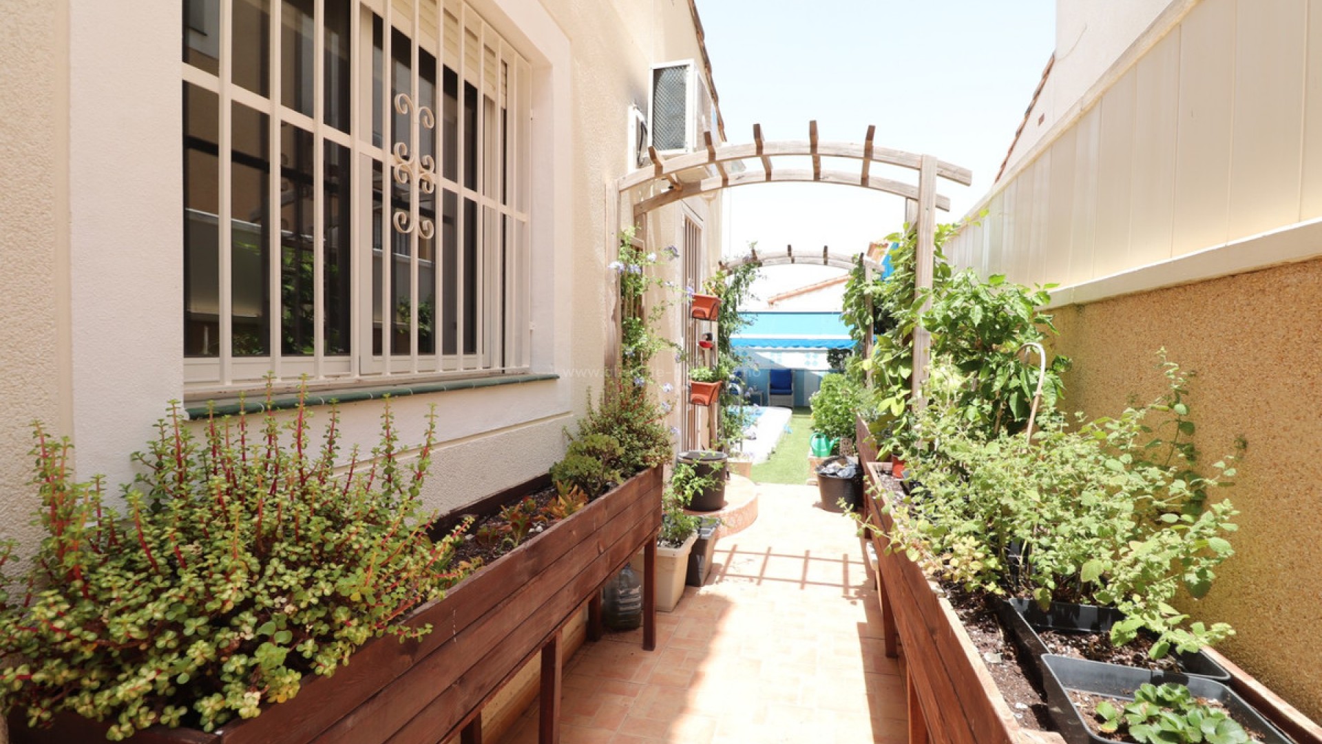 Villa in Algorfa Centro
