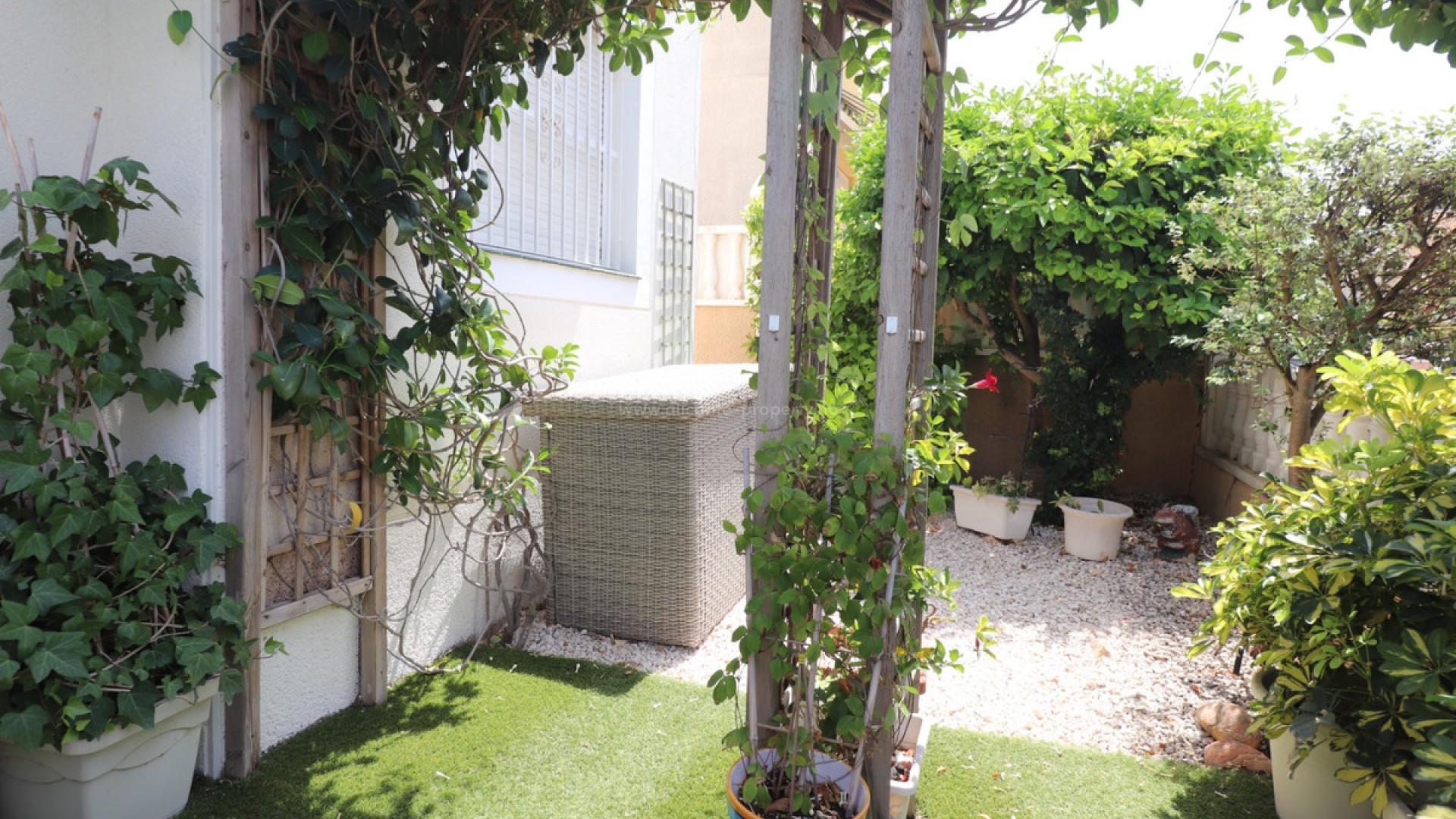 Villa in Algorfa Centro