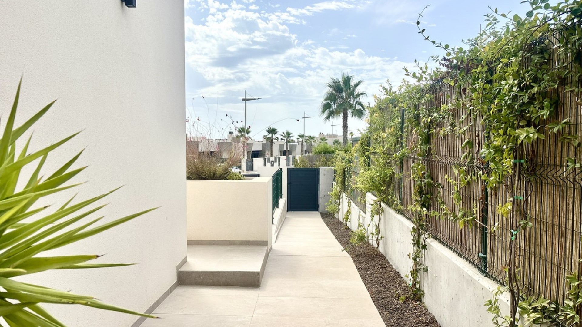 Villa in Algorfa Centro