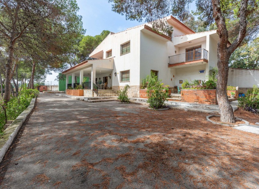 Villa in Alicante Centro