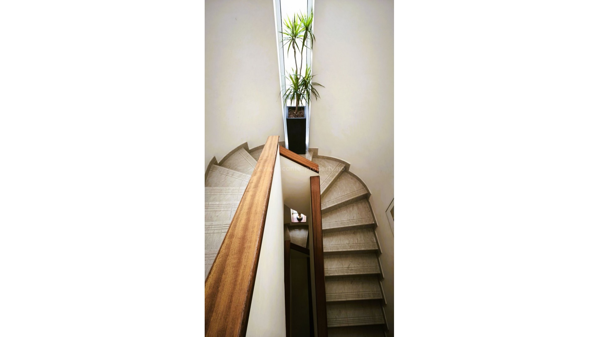 Villa in Alicante Centro