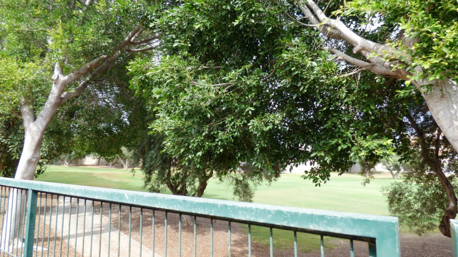 Villa in Alicante Centro