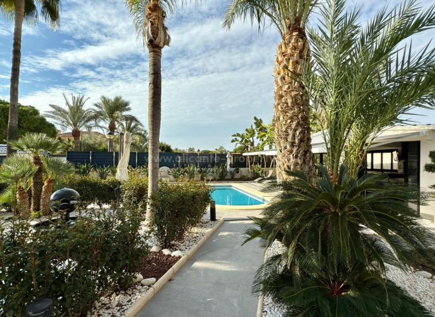 Villa in Alicante Centro