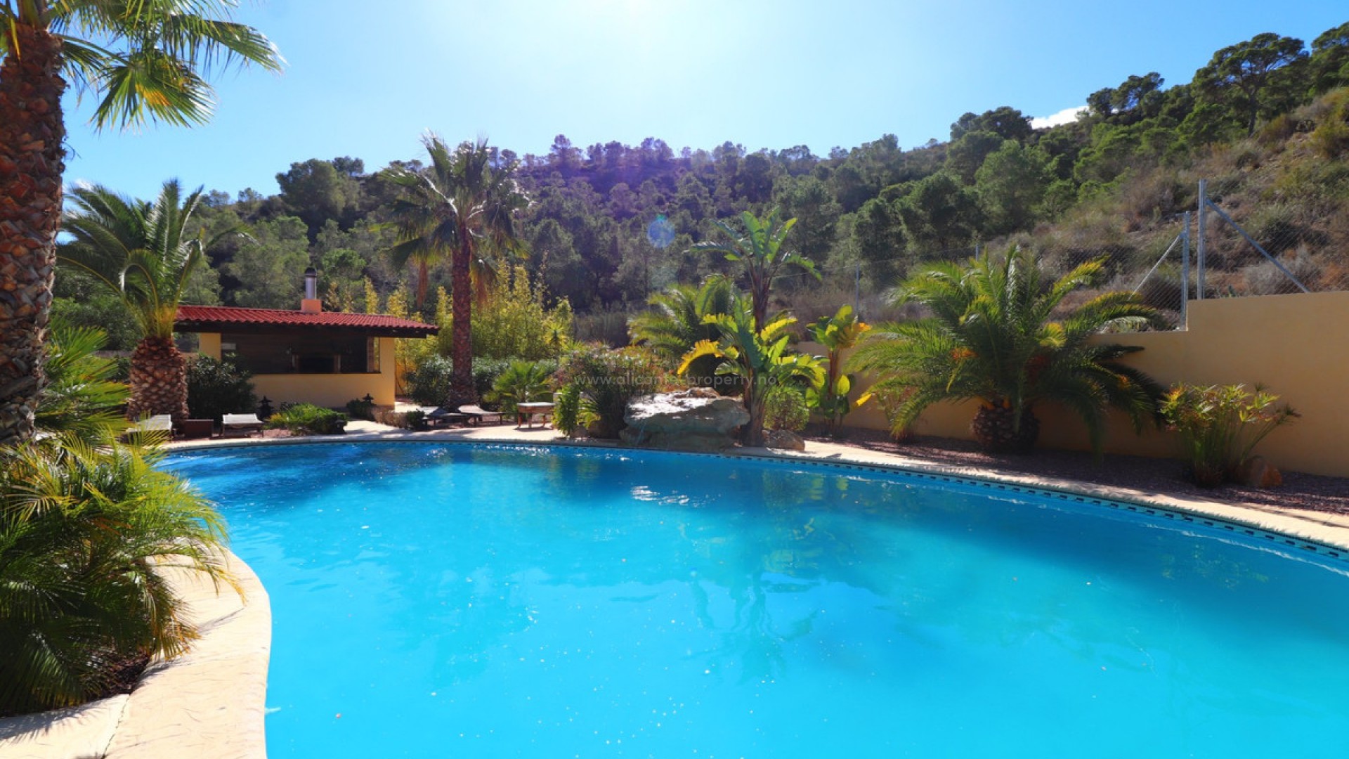 Villa in Aspe Centro