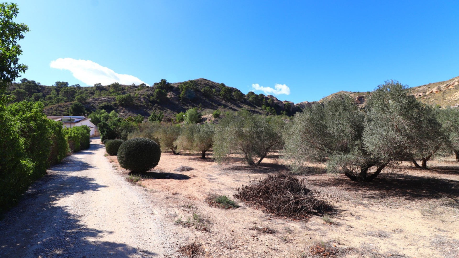 Villa in Aspe Centro