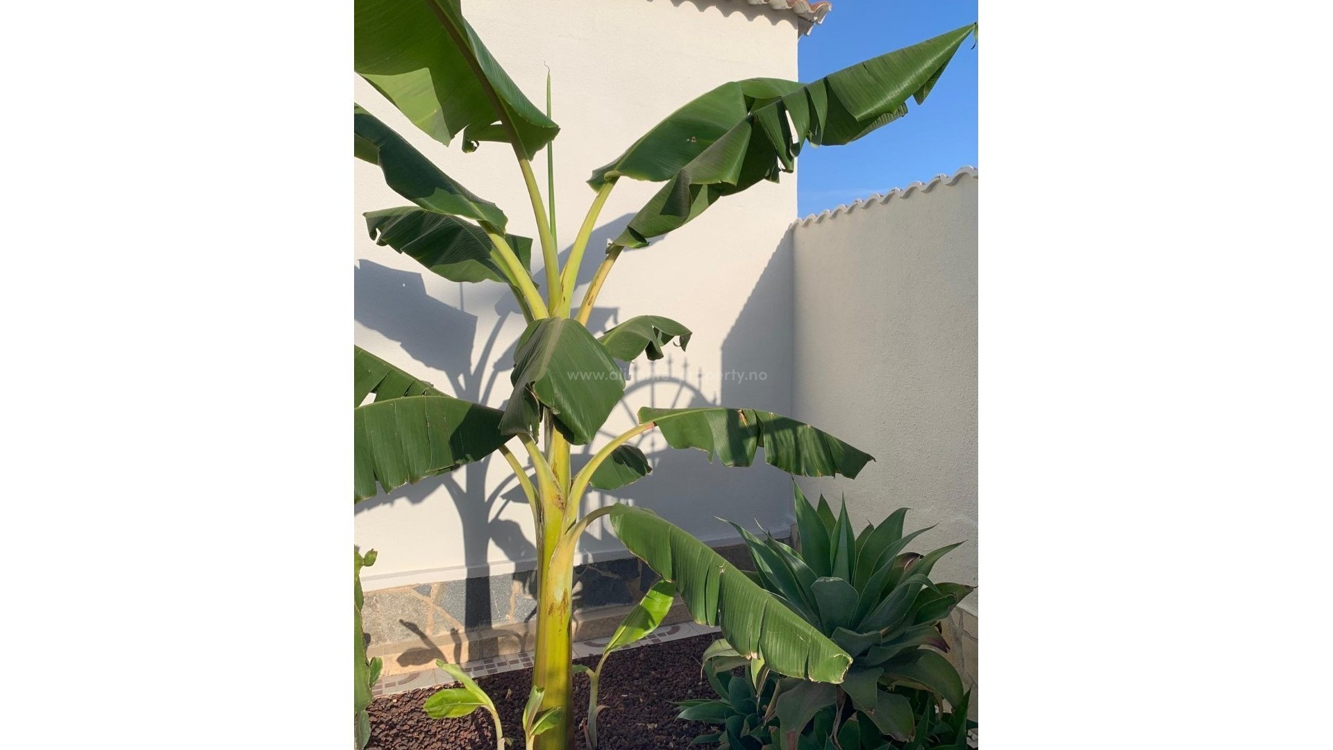 Villa in Ciudad Quesada