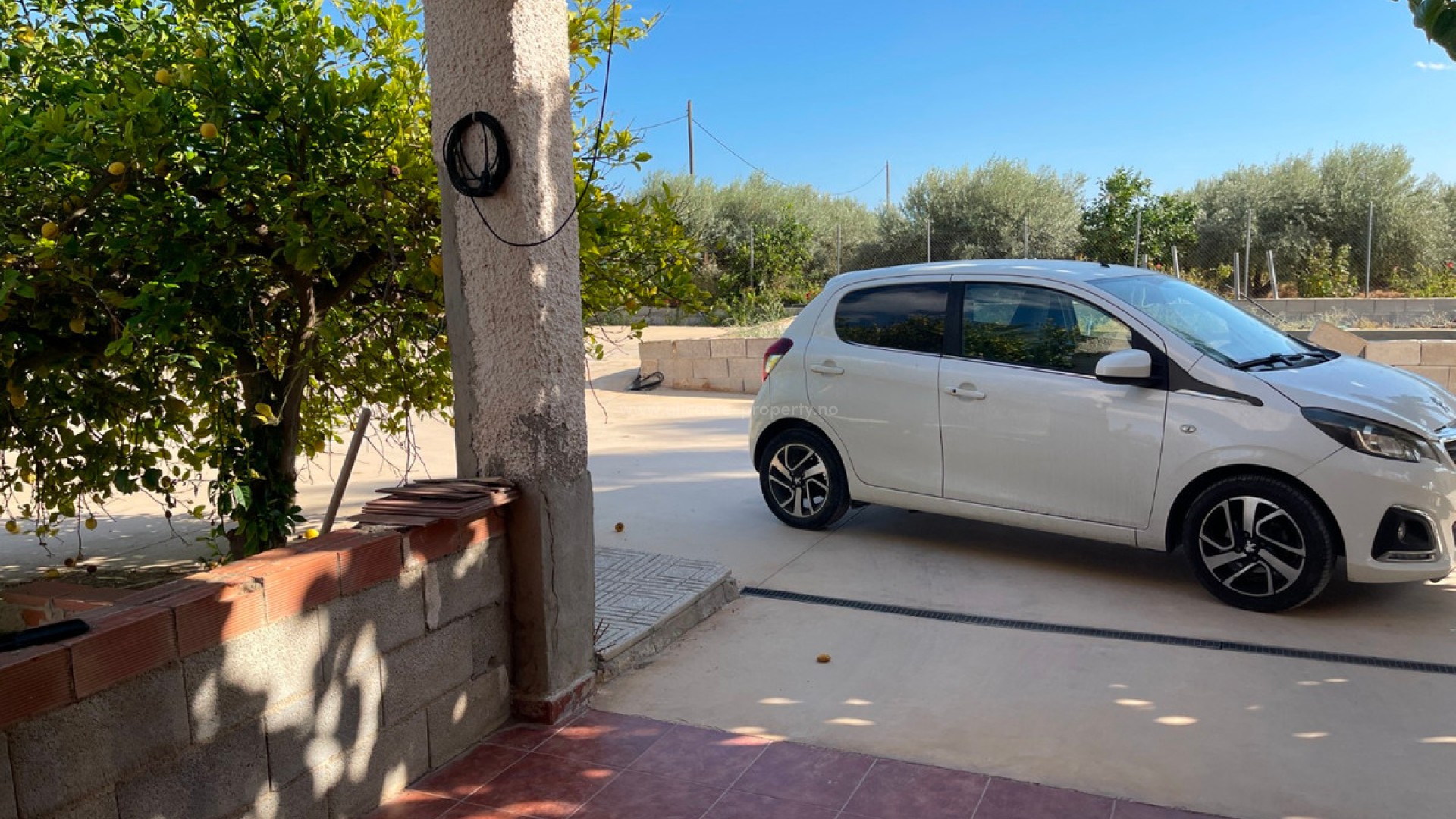 Villa in Crevillente - Crevillent Centro