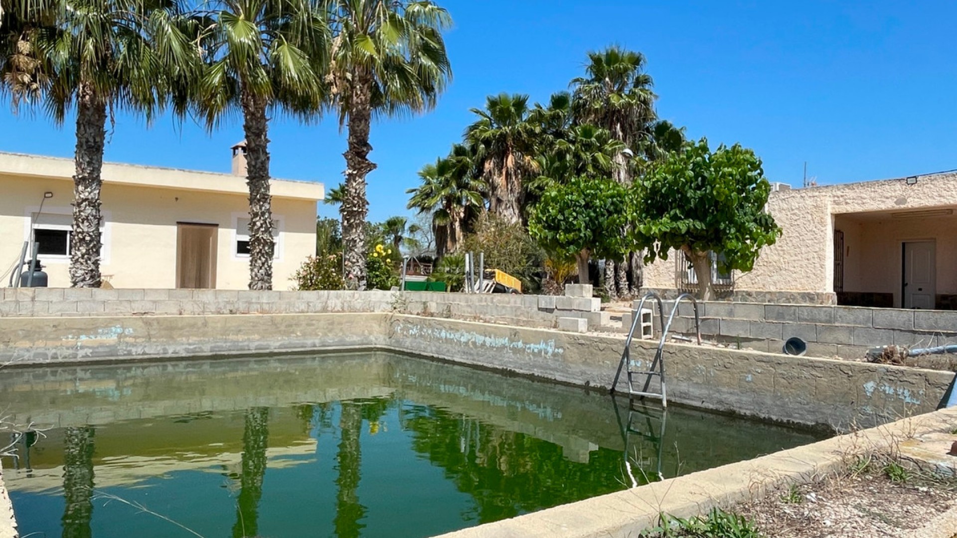 Villa in Crevillente - Crevillent Centro