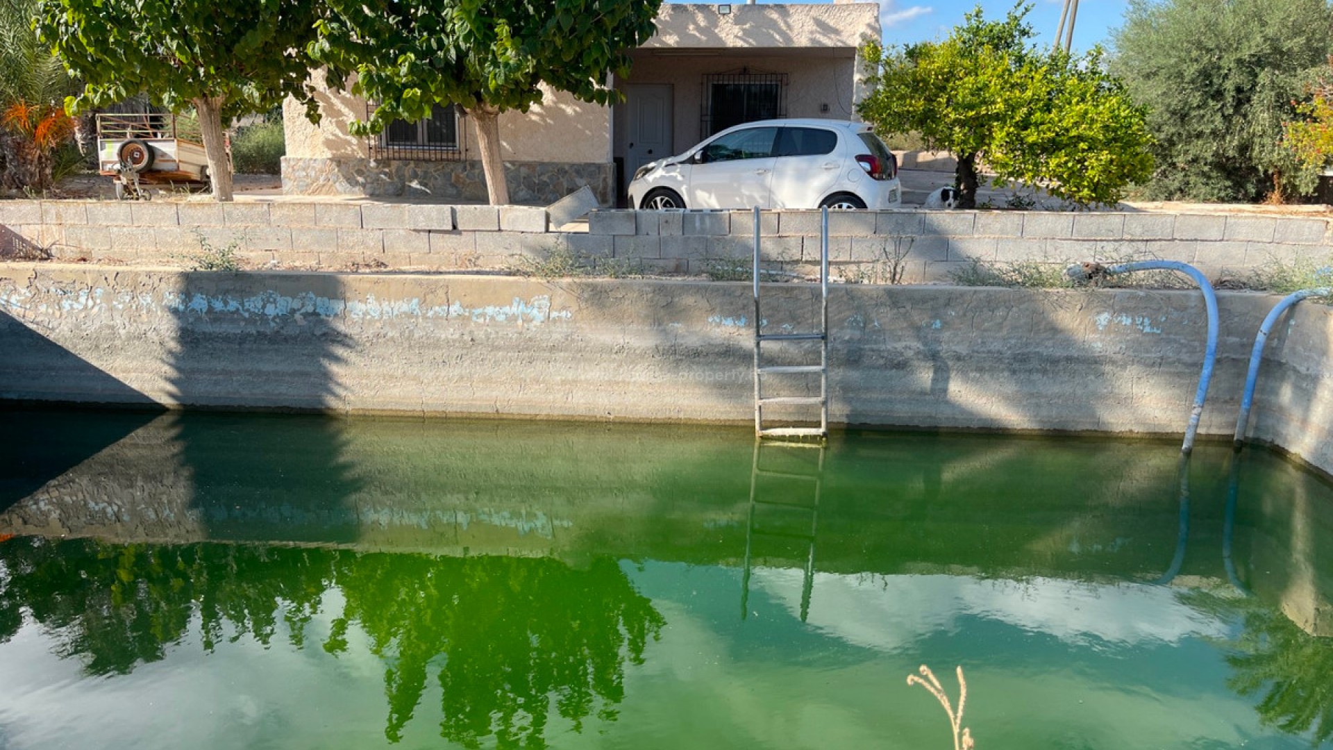 Villa in Crevillente - Crevillent Centro