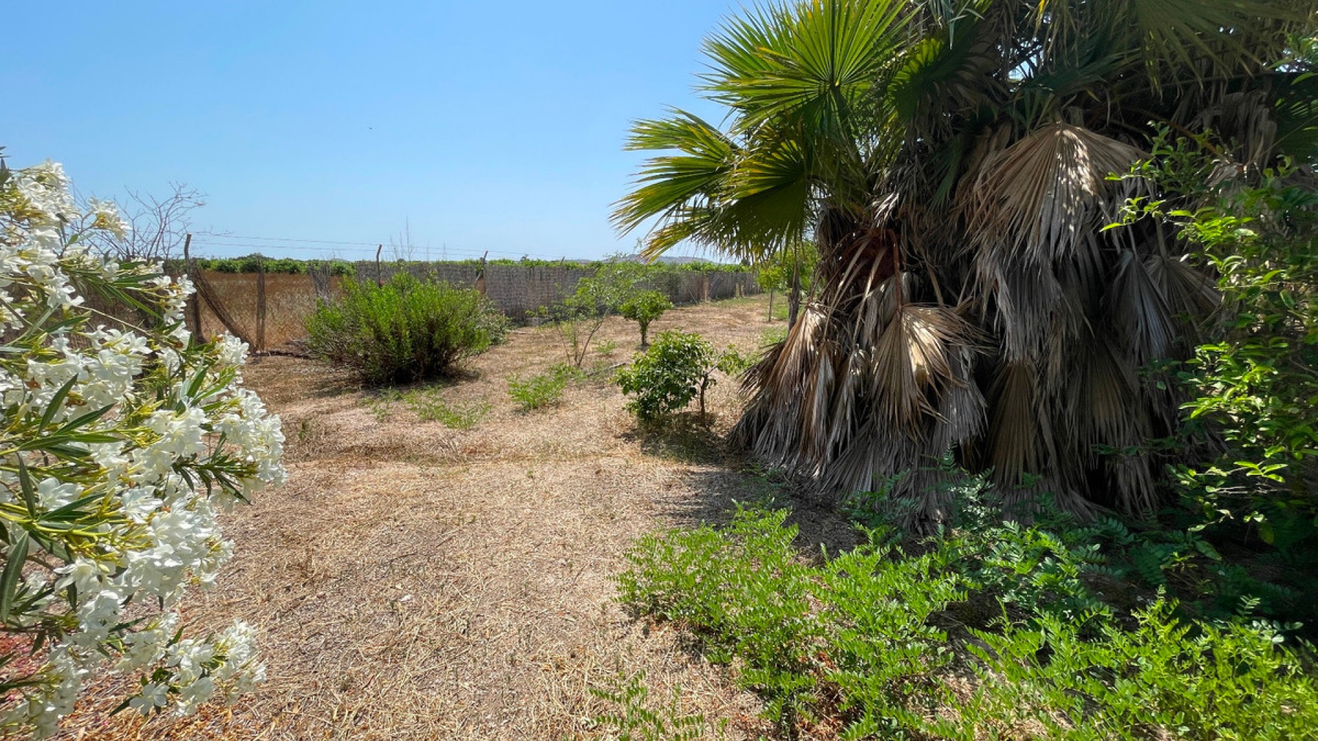 Villa in Daya Nueva Centro