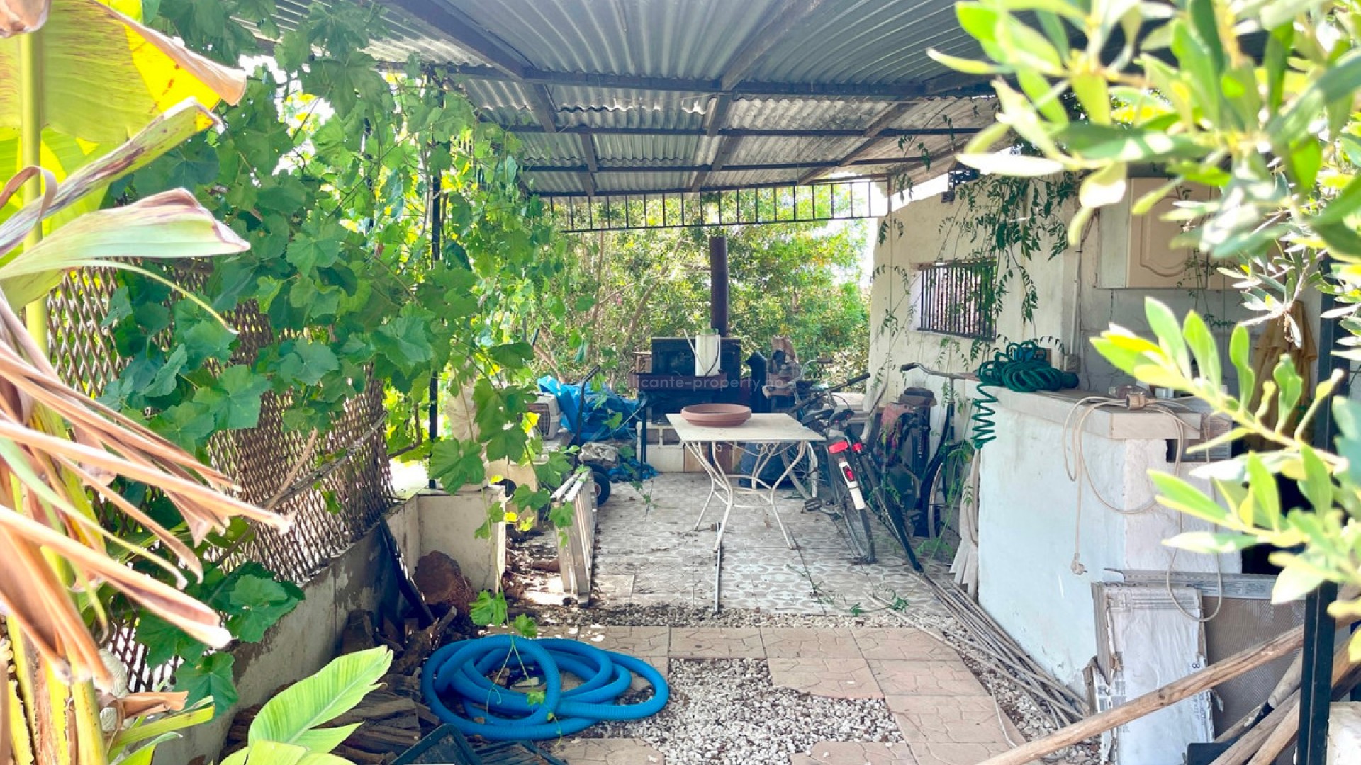 Villa in Daya Nueva Centro
