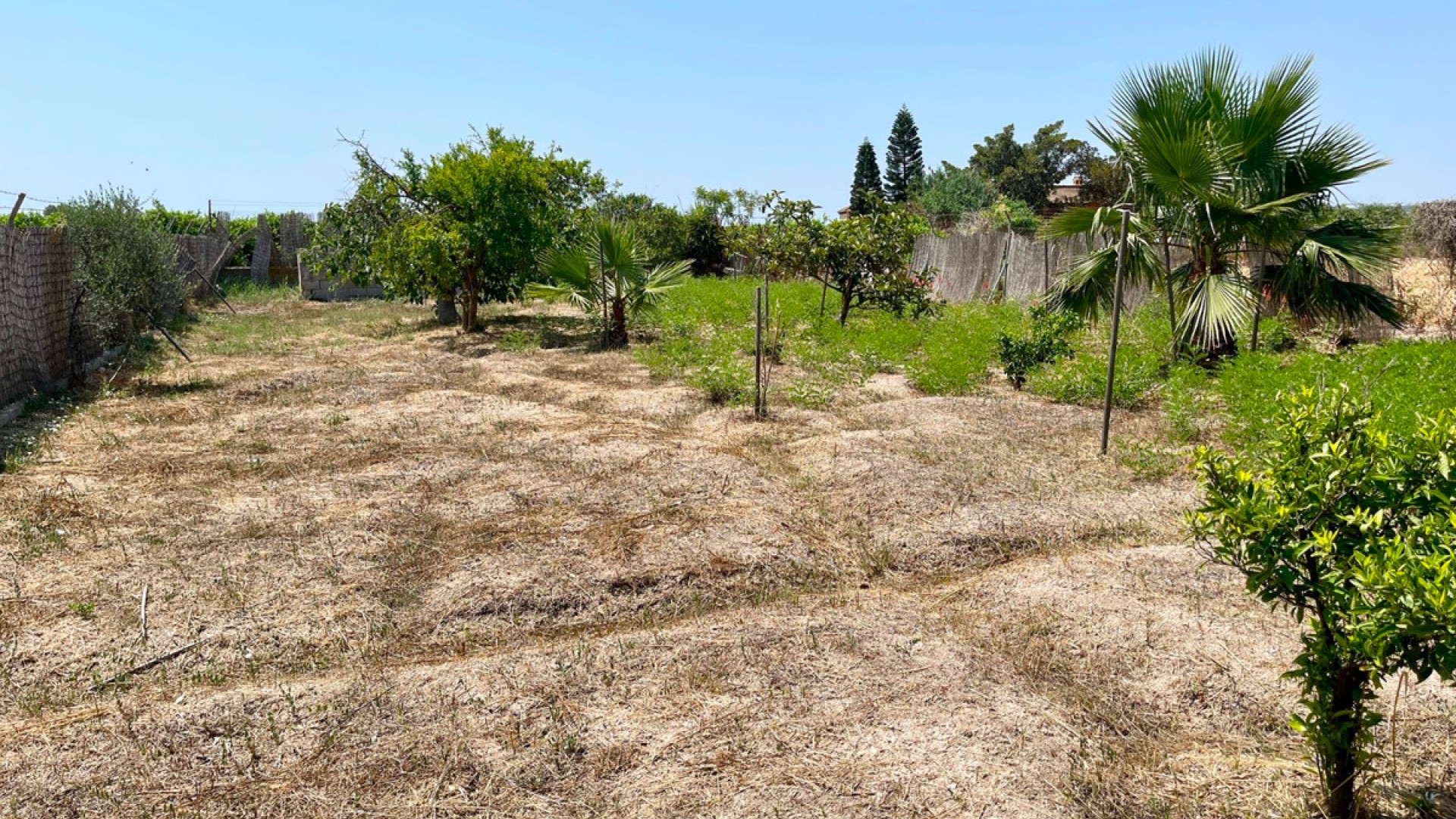 Villa in Daya Nueva Centro