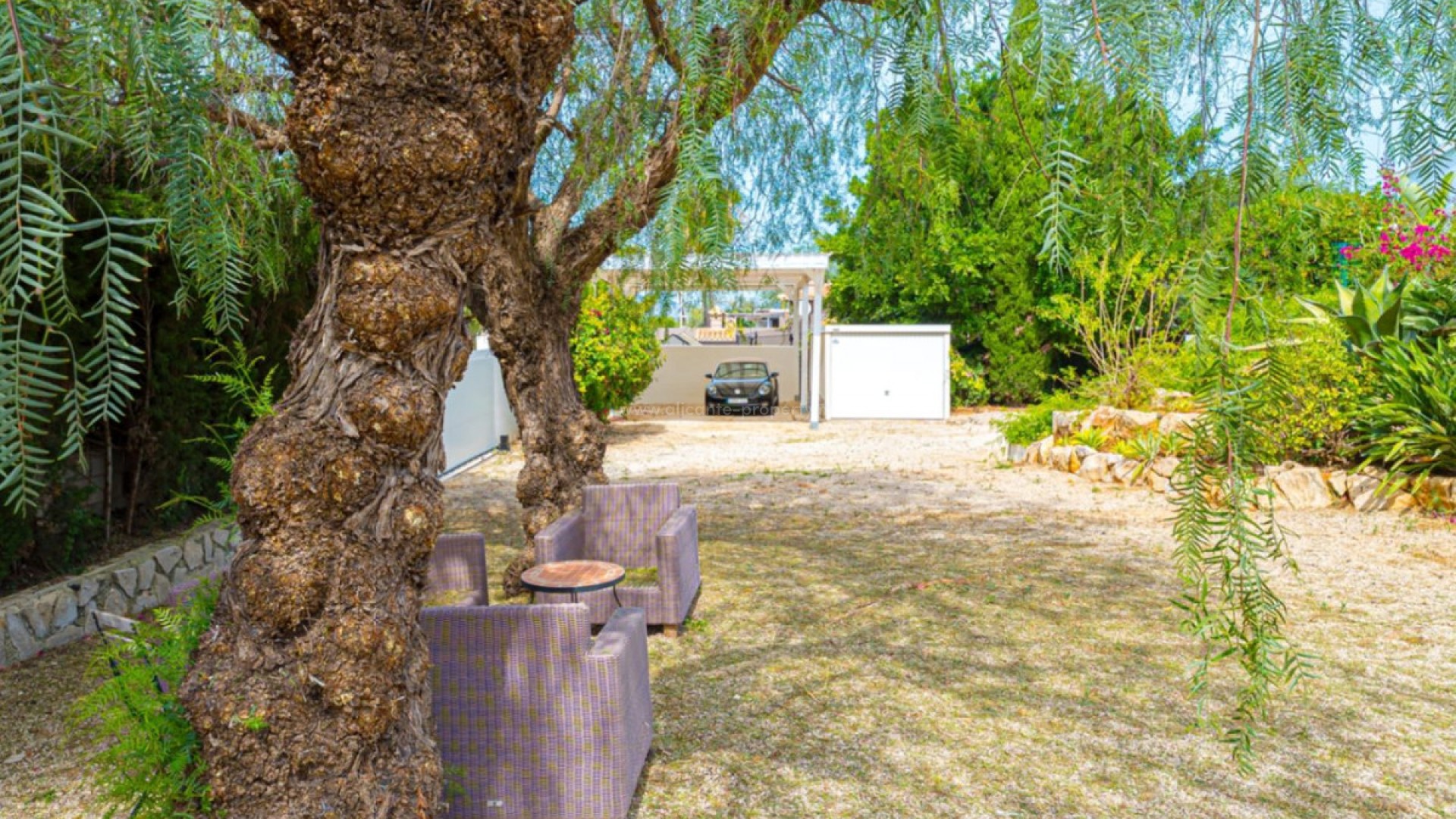 Villa in Denia Centro