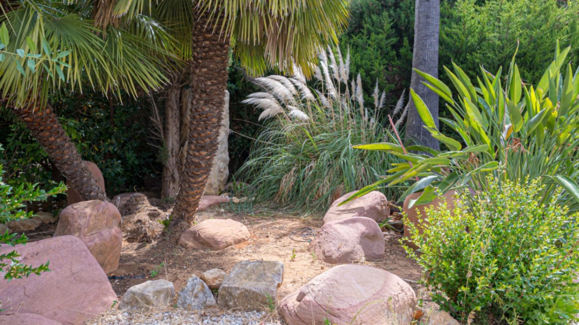 Villa in Denia Centro