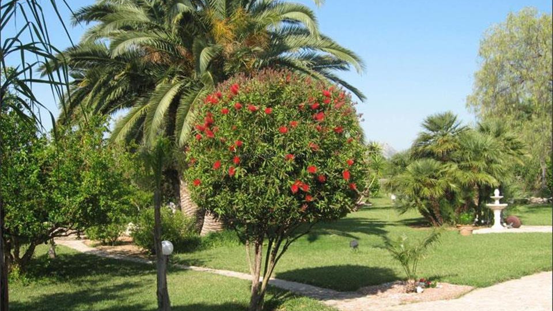 Villa in Denia Centro
