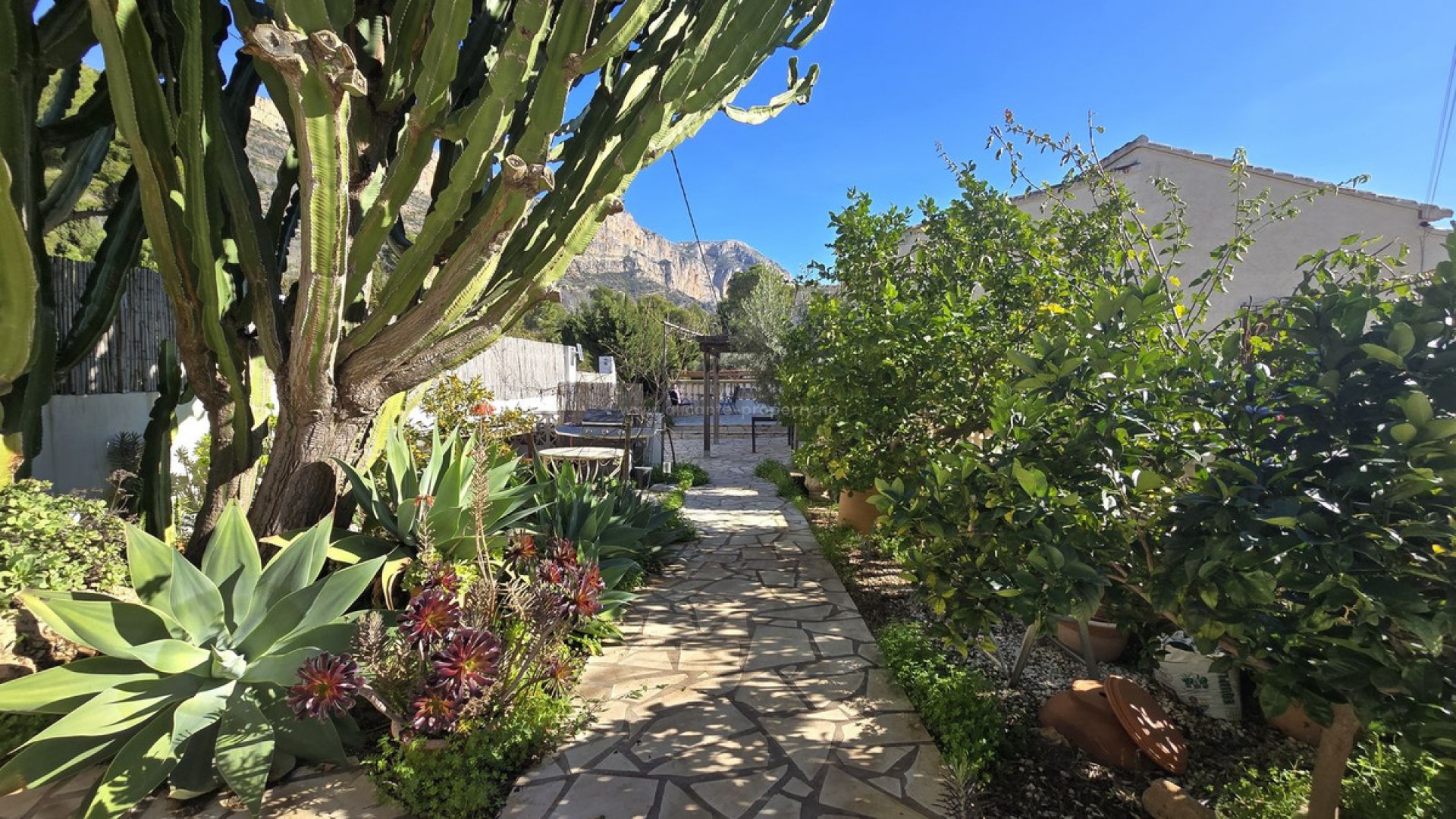 Villa in Denia Centro