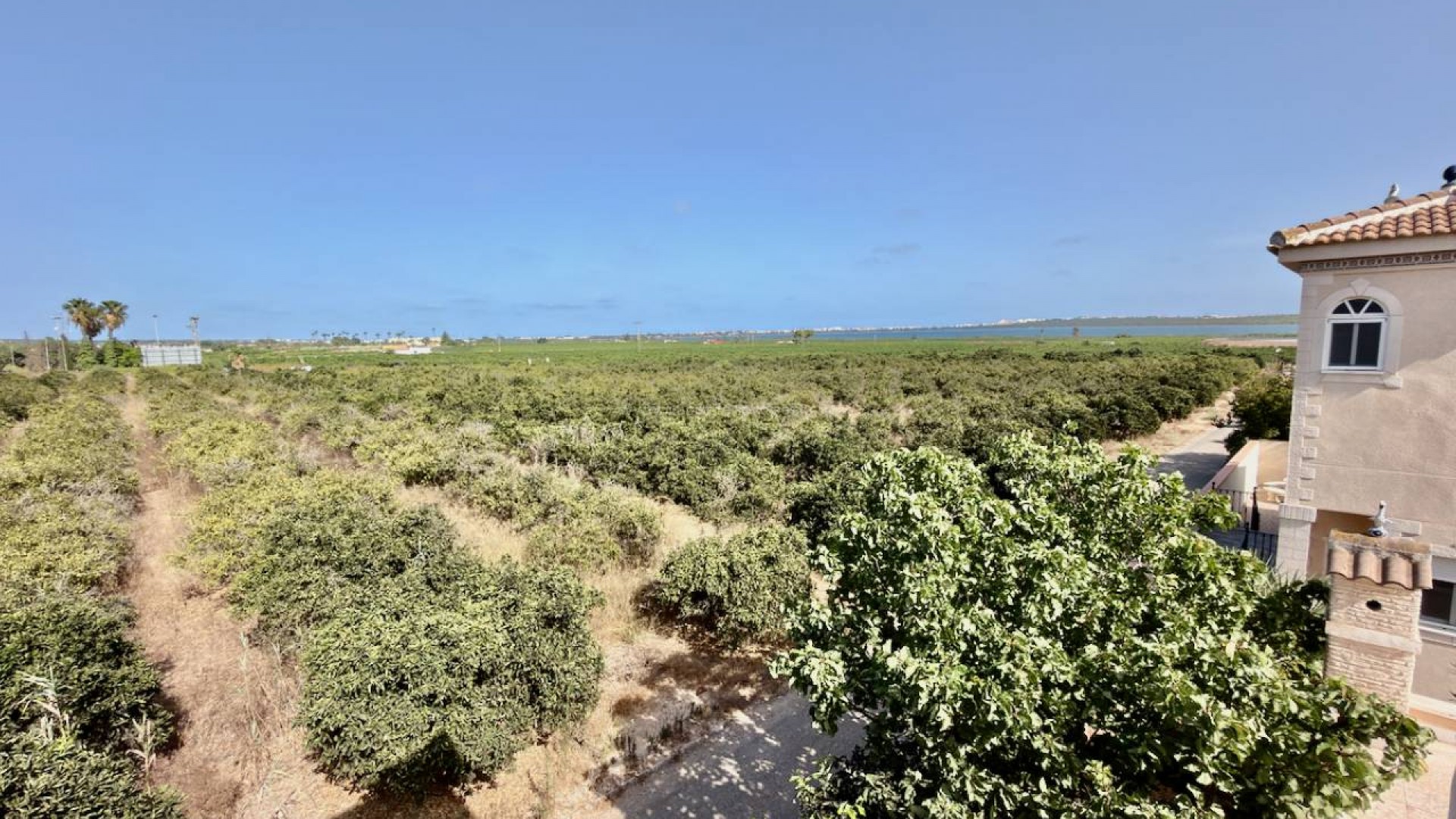 Villa in Doña Pepa