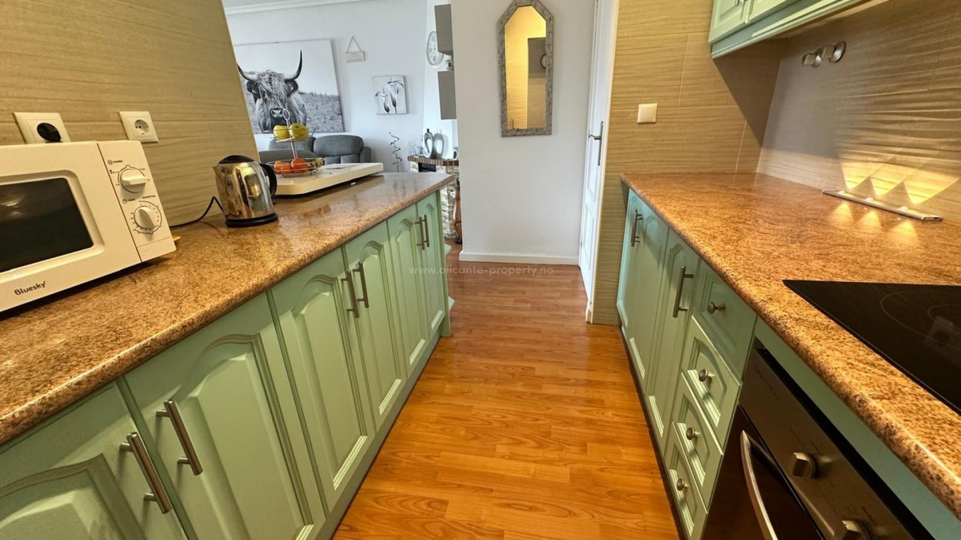 Villa in El chaparral