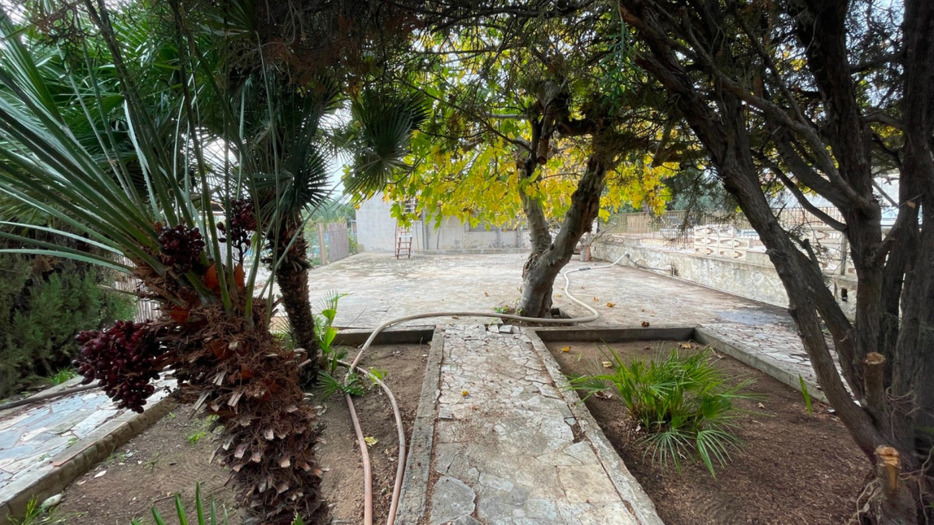 Villa in Elche Centro