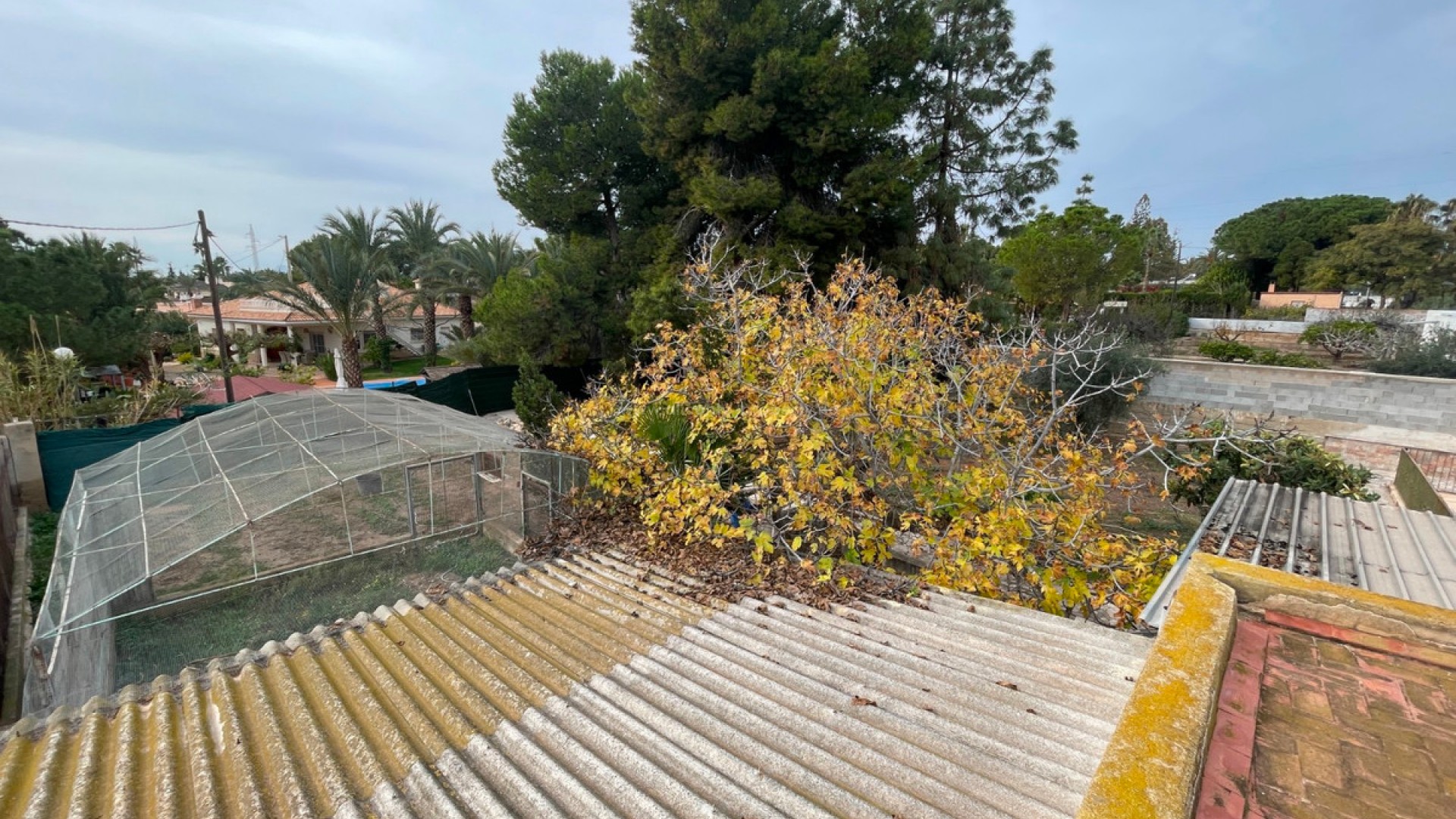 Villa in Elche Centro