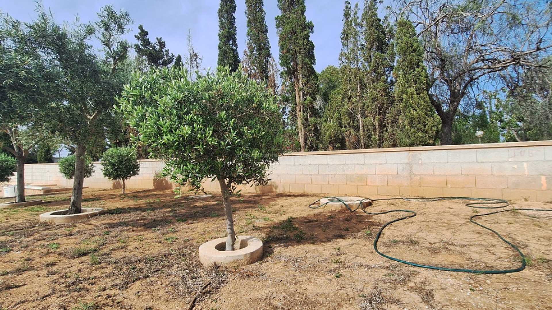 Villa in Elche Centro