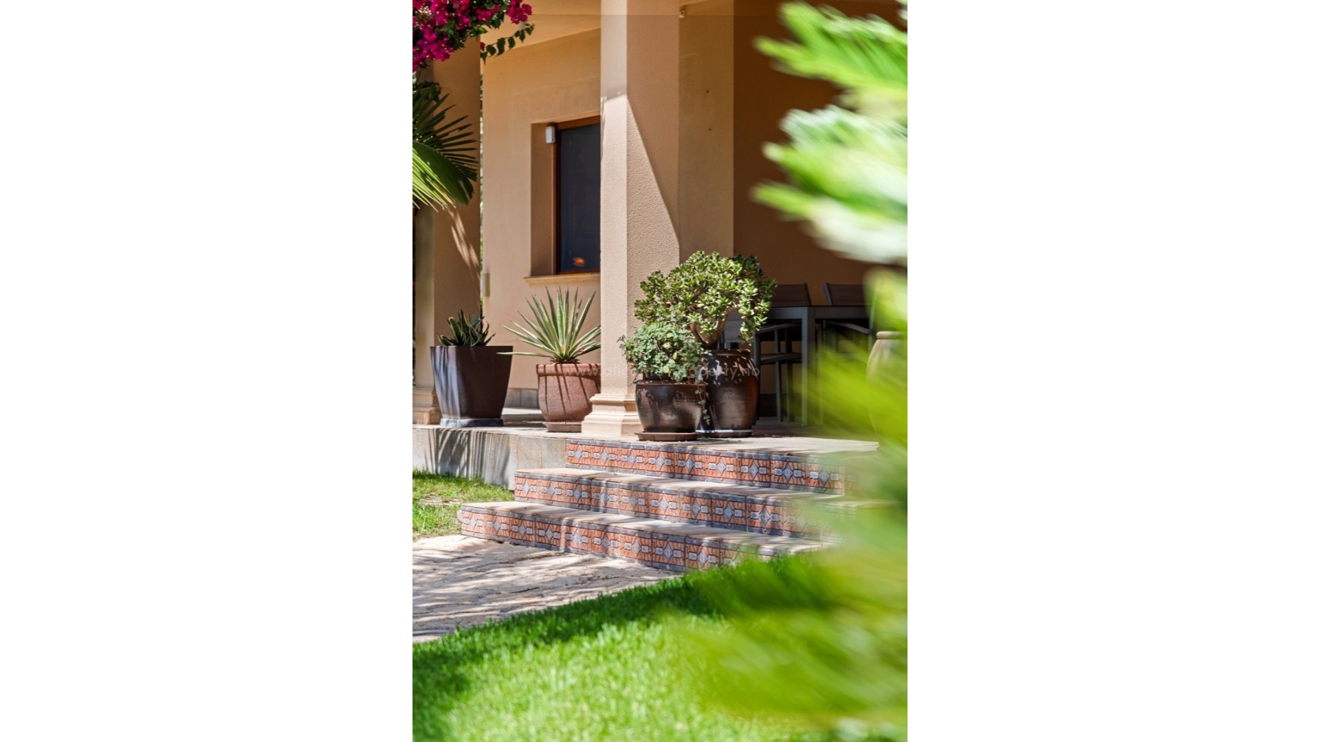 Villa in Elche Centro