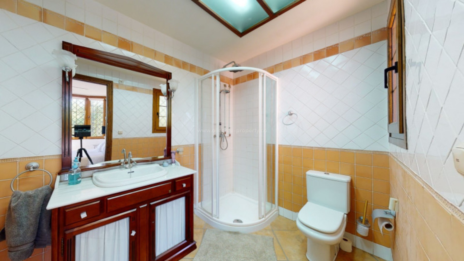 Villa in Elche Centro