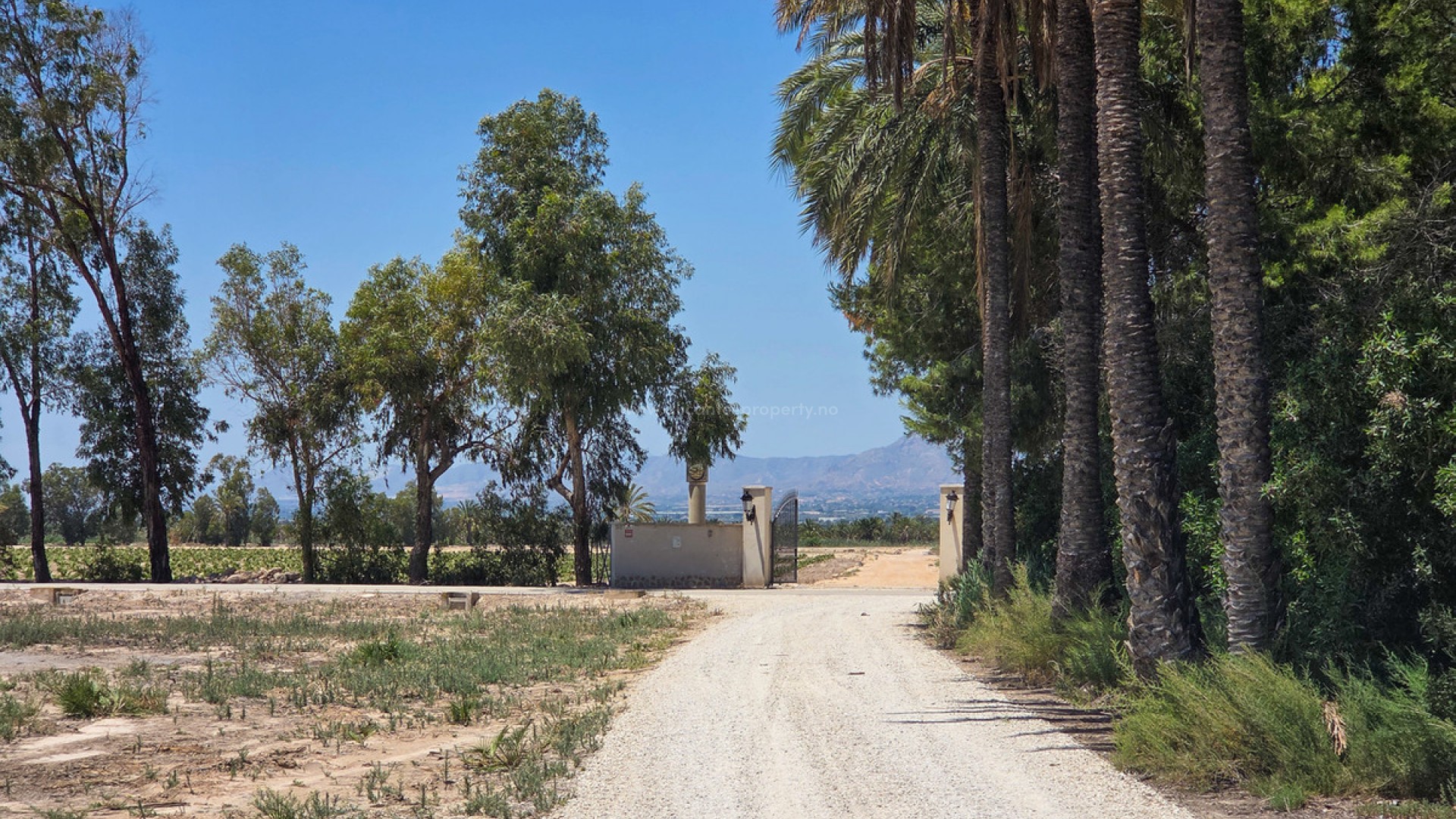 Villa in Elche Centro
