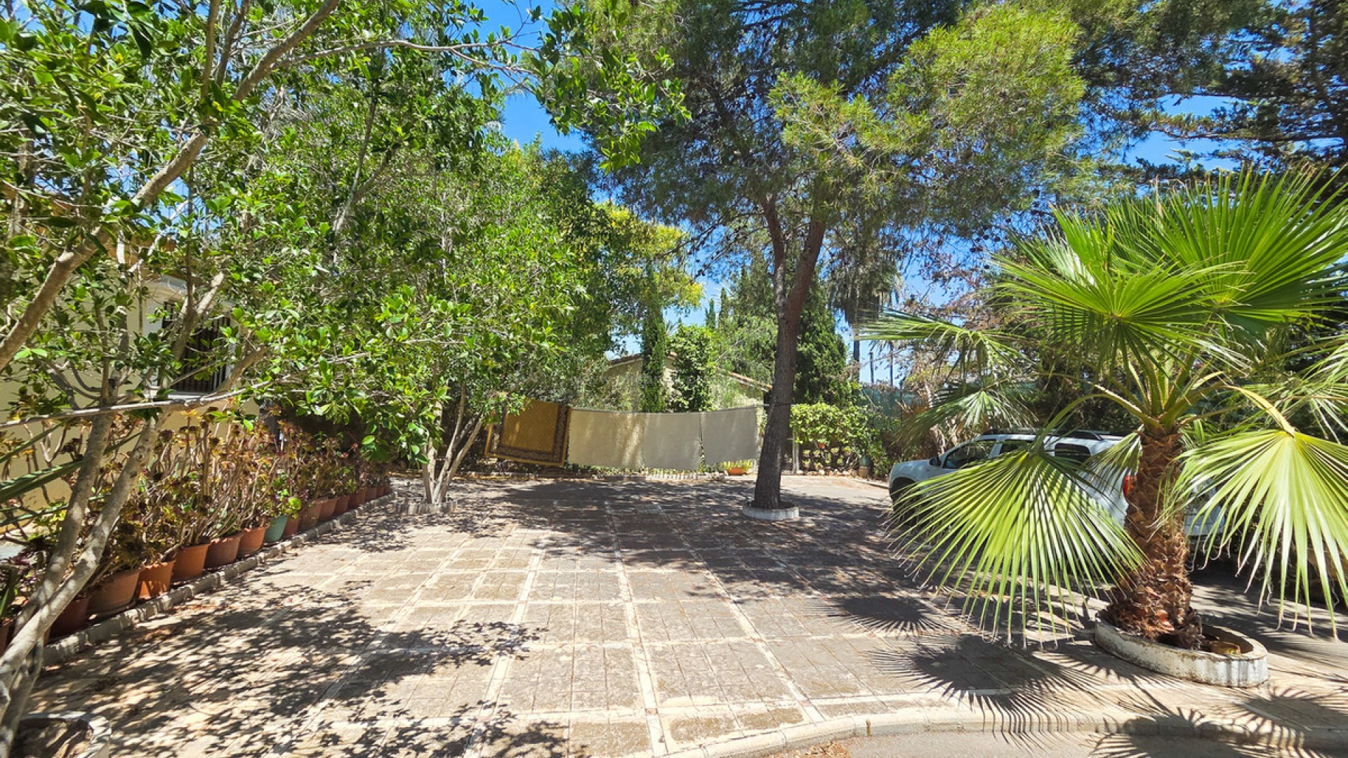 Villa in Elche Centro