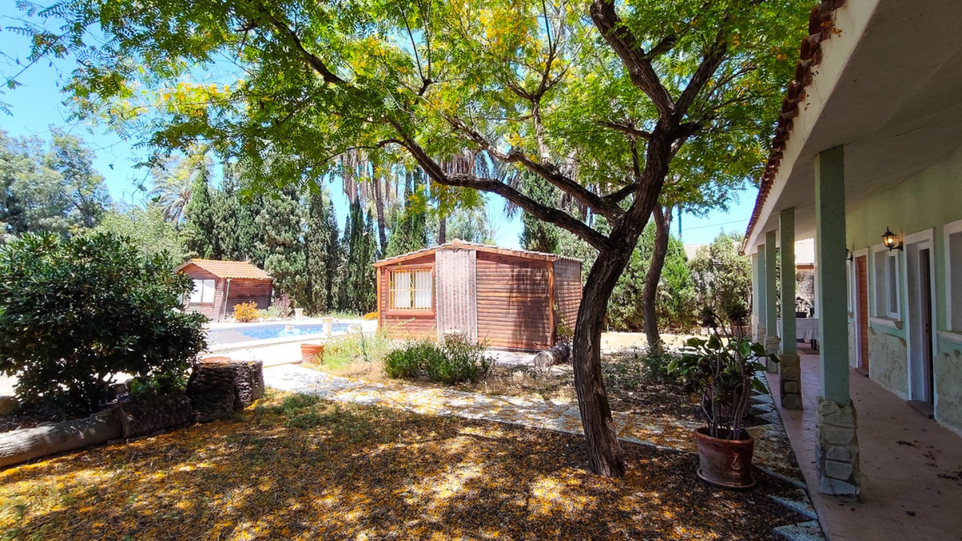Villa in Elche Centro