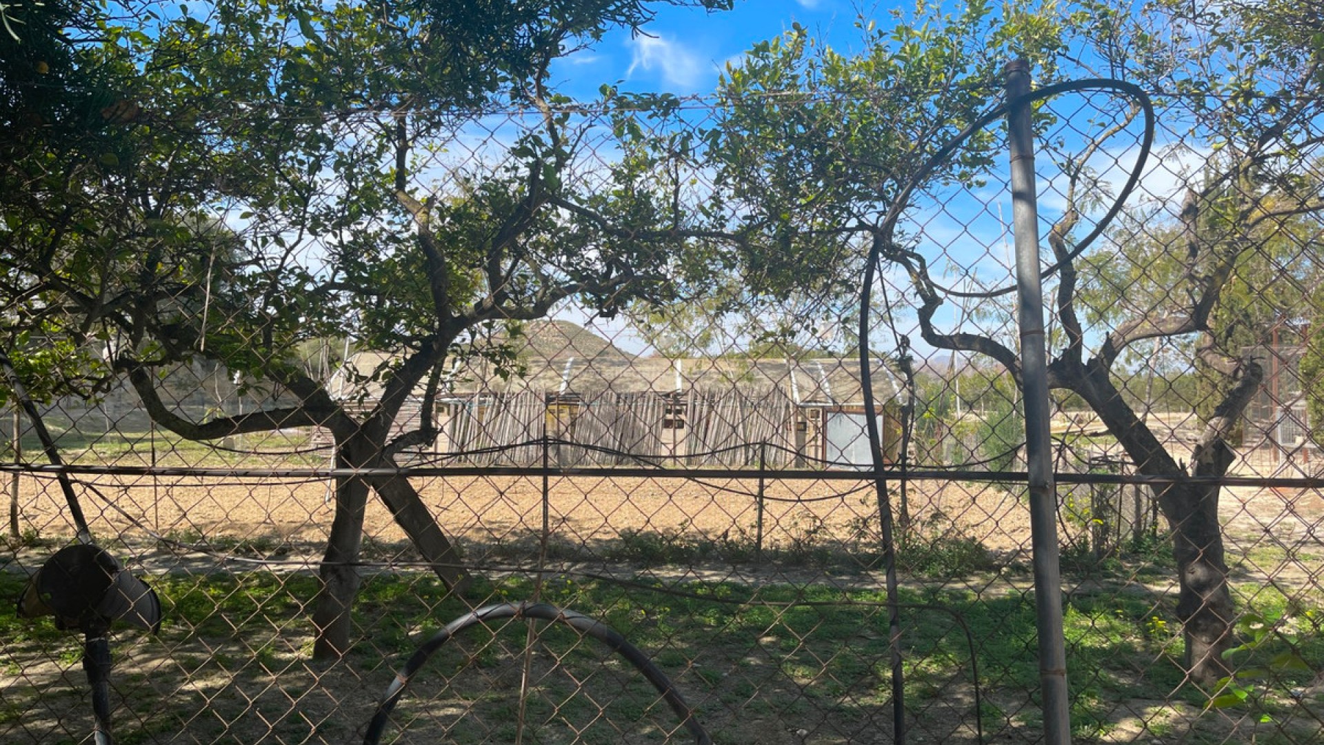 Villa in Guardamar del Segura Centro