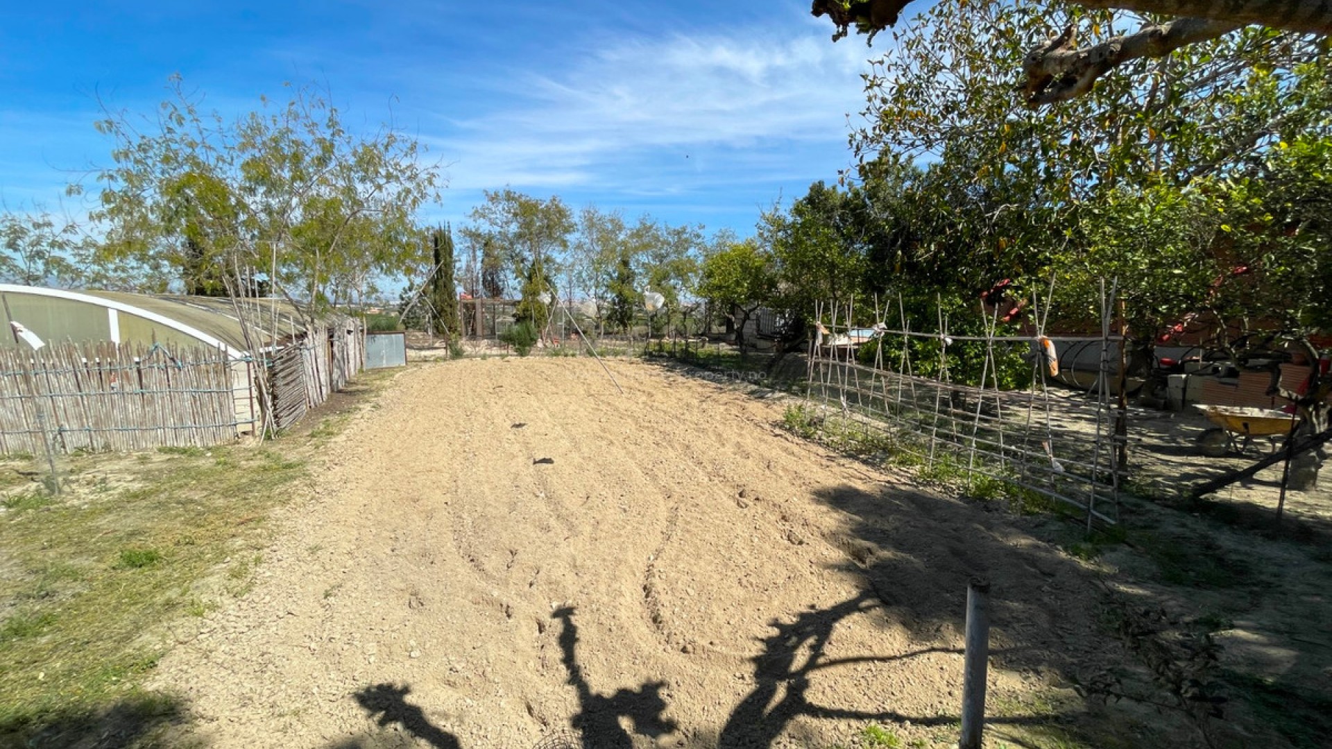 Villa in Guardamar del Segura Centro