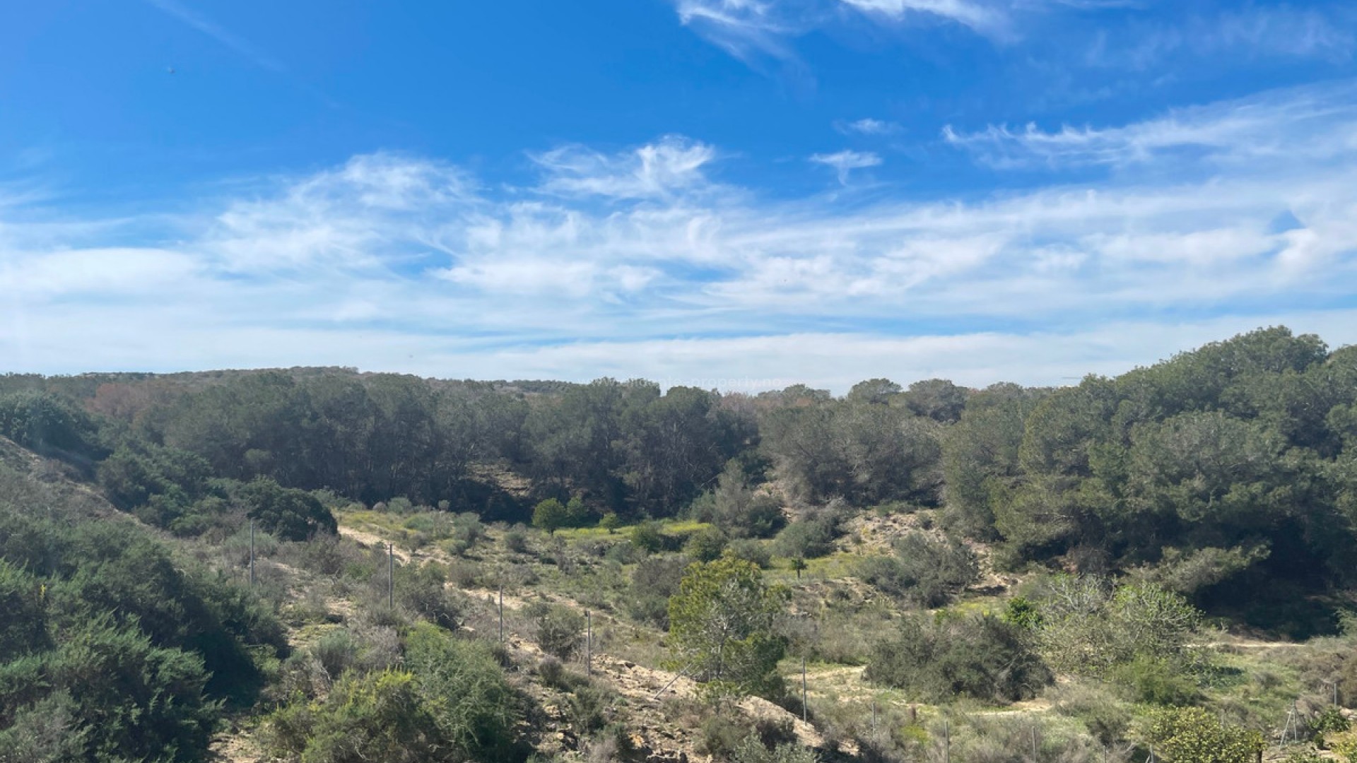 Villa in Guardamar del Segura Centro