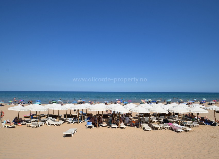Villa in Guardamar del Segura Centro