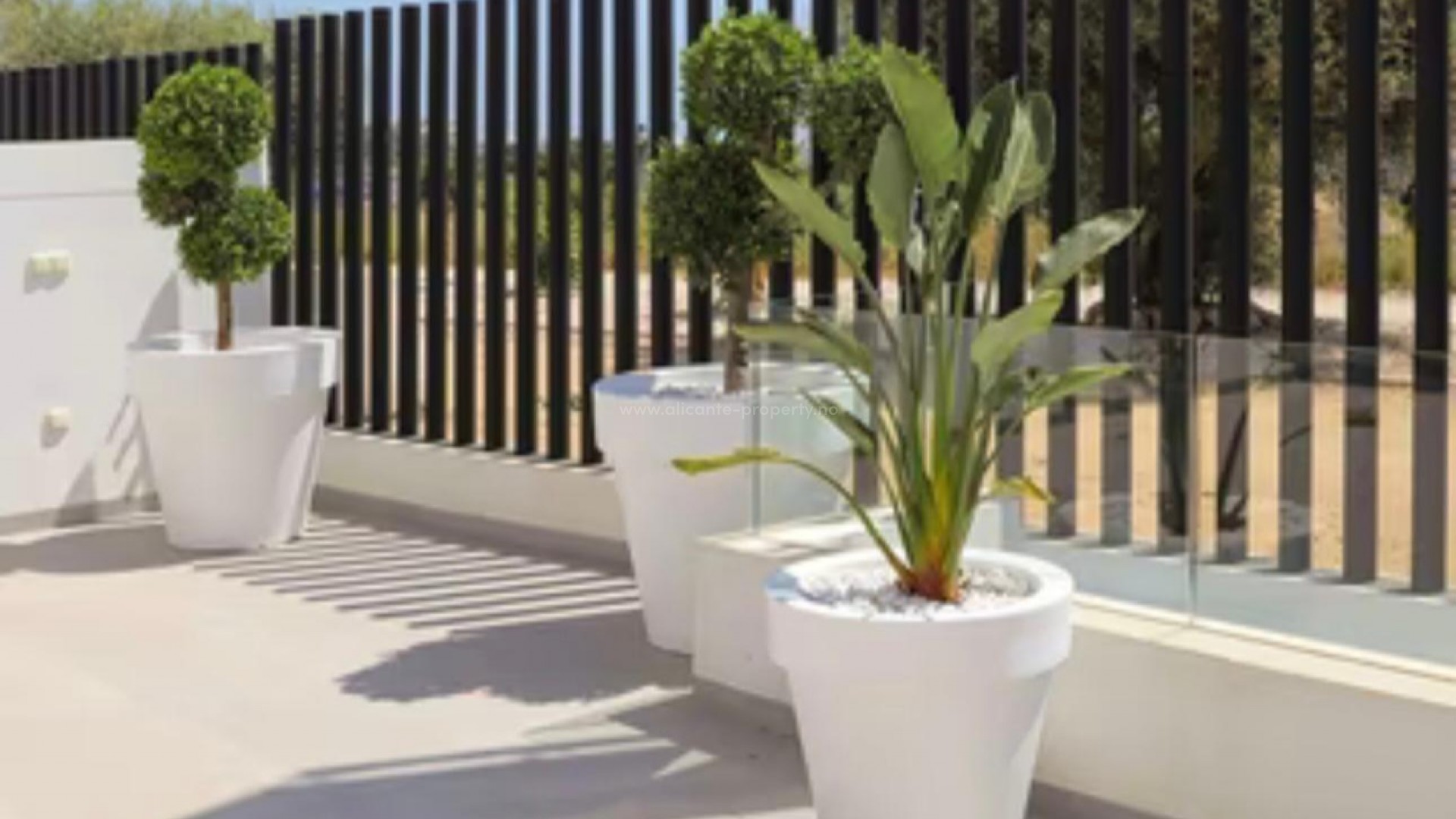 Villa in Guardamar del Segura