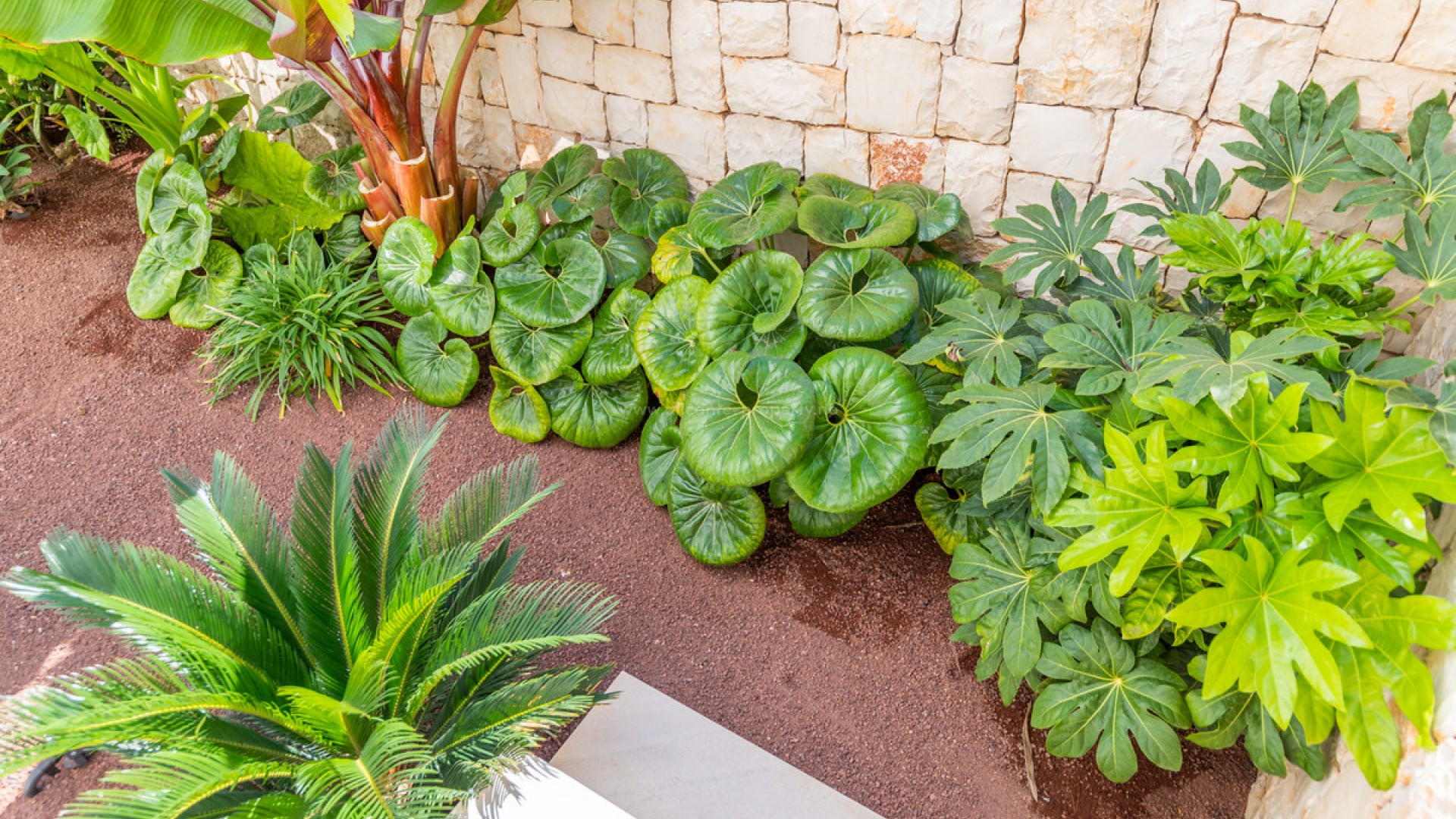 Villa in Jávea - Xàbia Centro