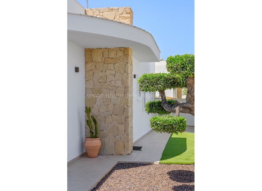 Villa in La Marina