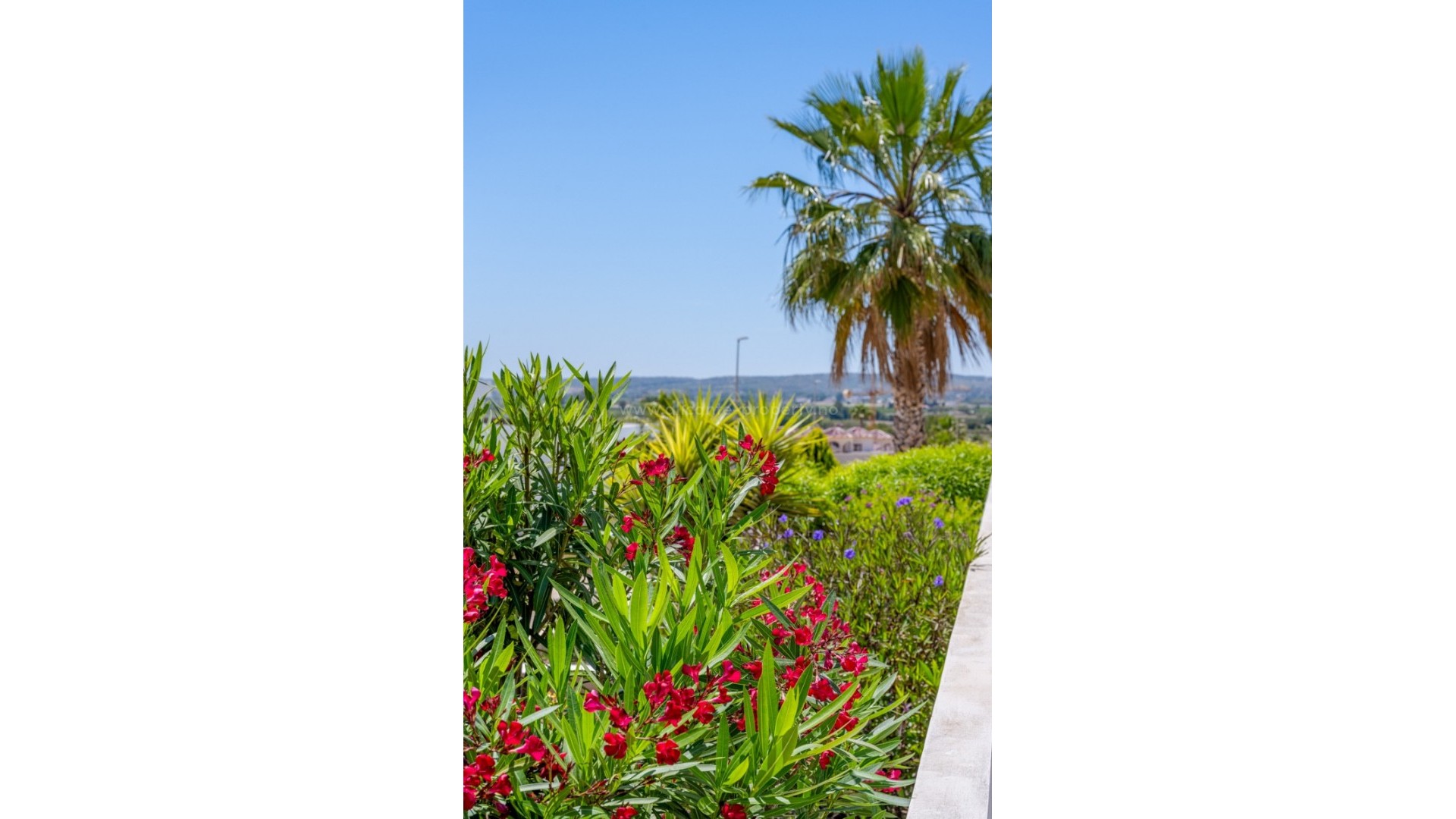 Villa in La Marina