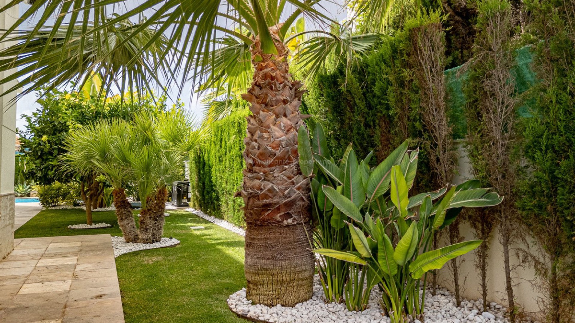 Villa in La Zenia