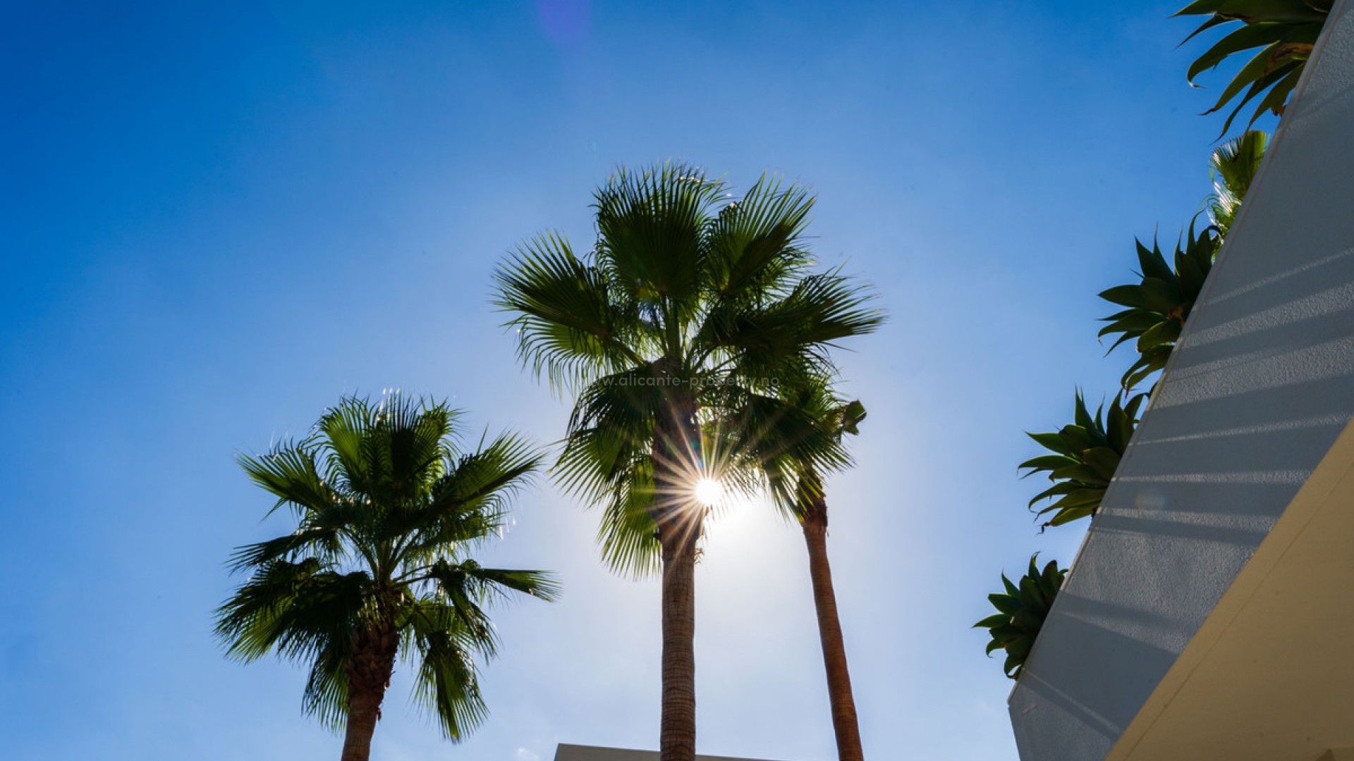 Villa in Las Colinas Golf Resort