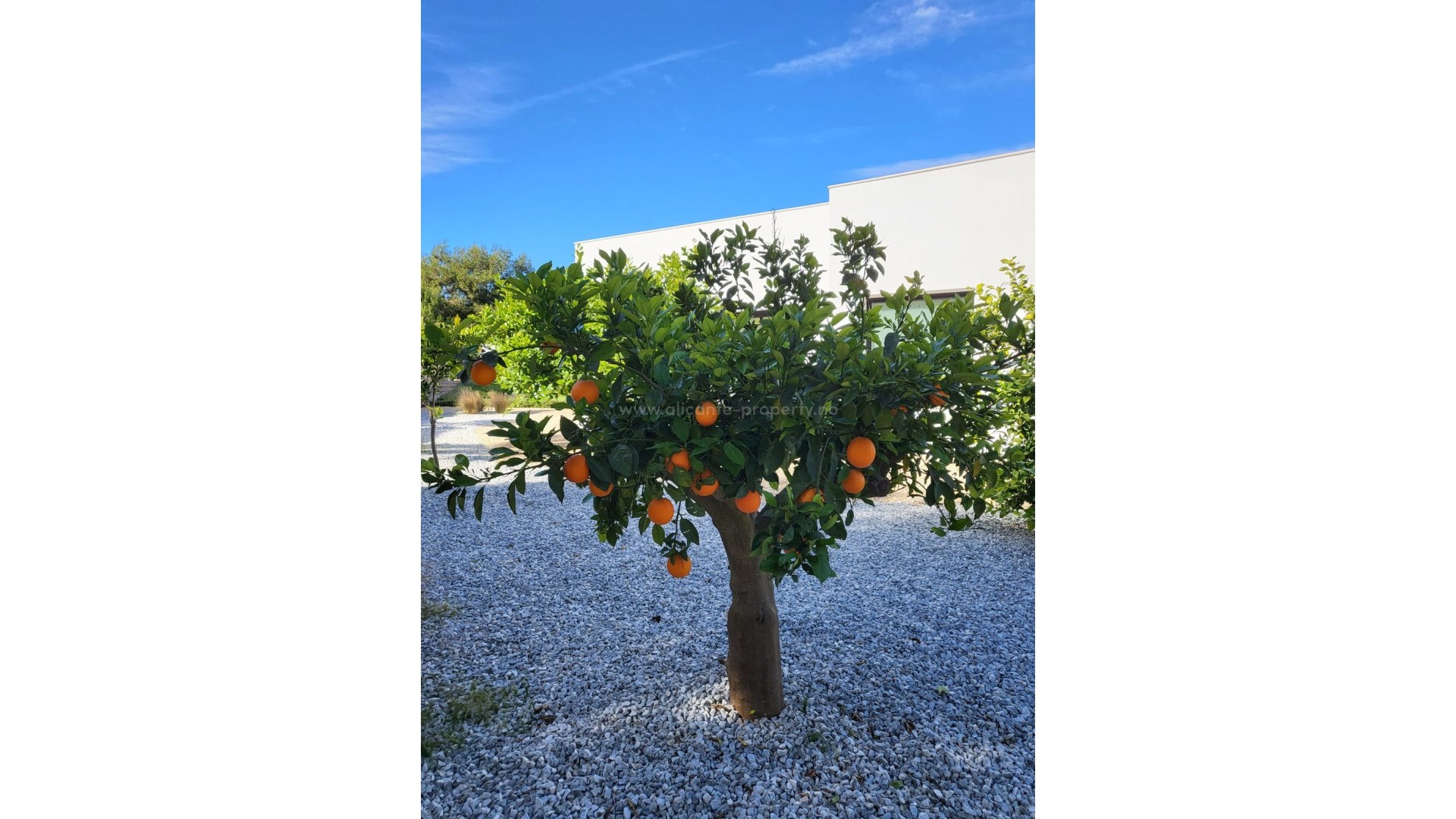 Villa in Las Colinas Golf Resort