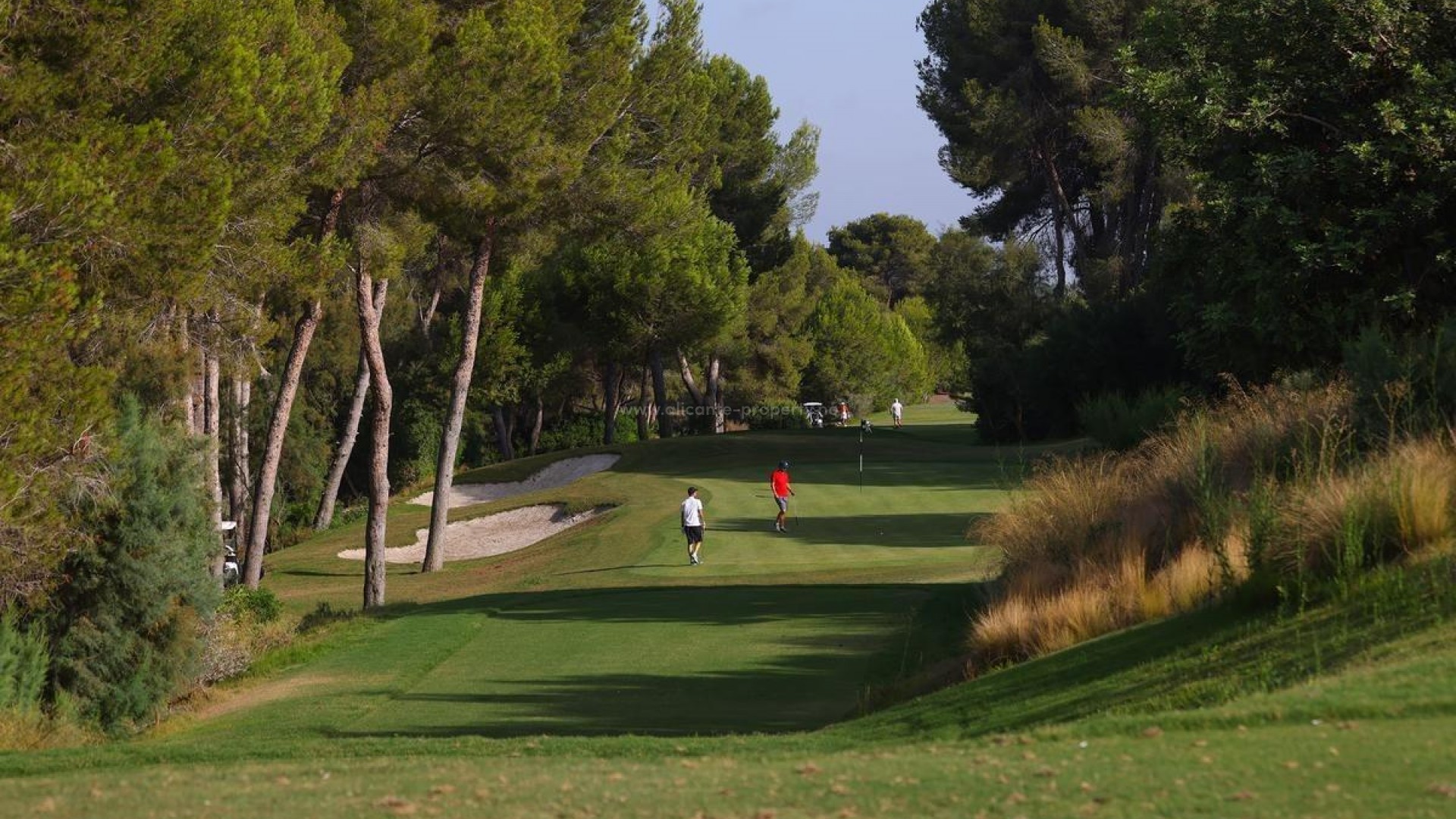 Villa in Las Colinas