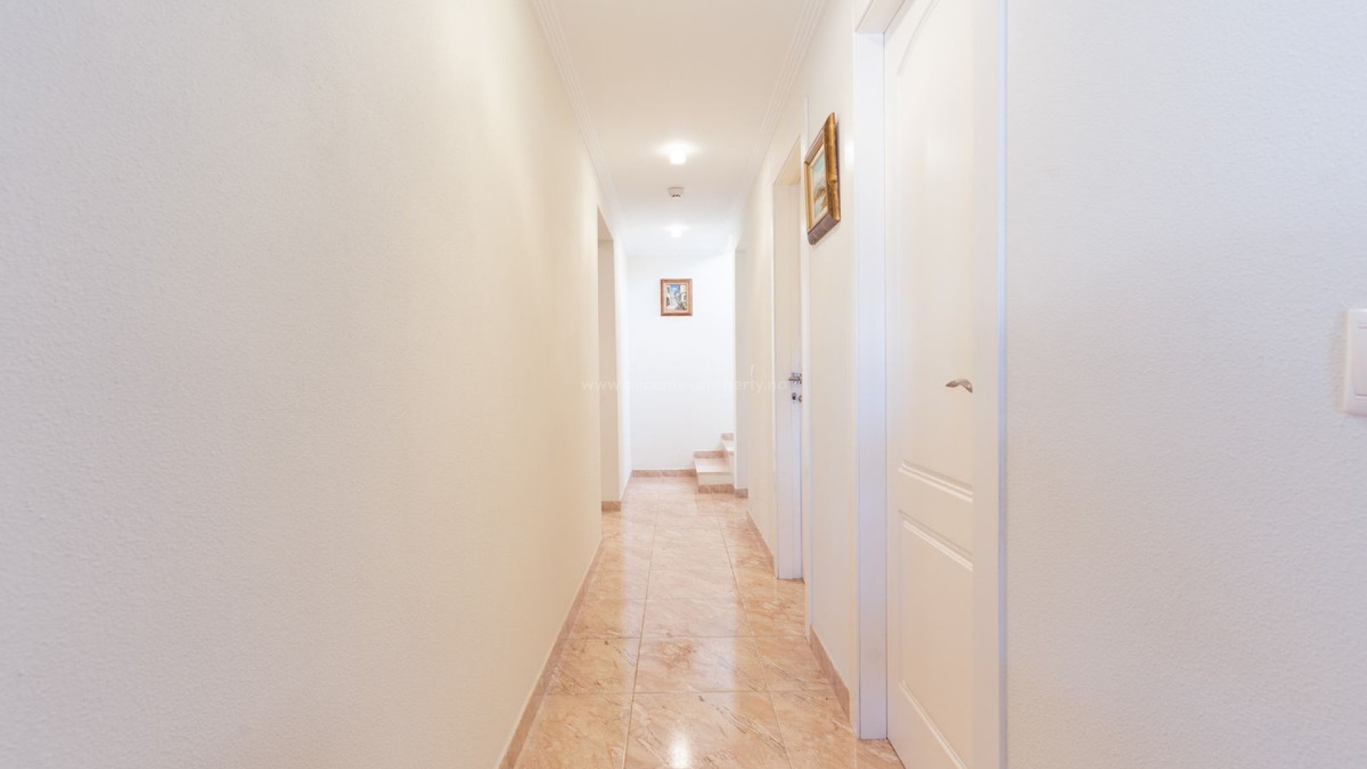 Villa in Los Balcones